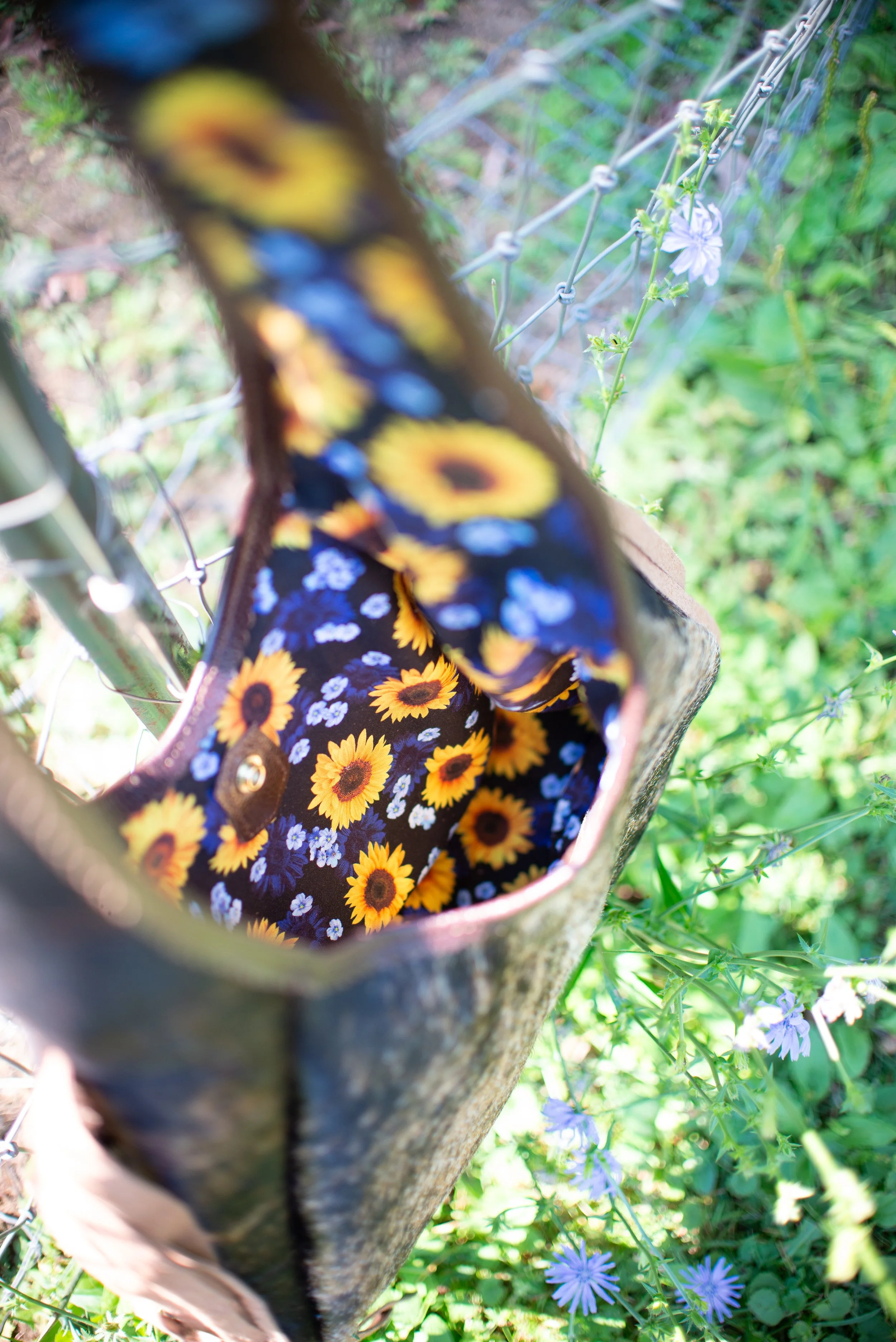 Bluebell-8.jpg