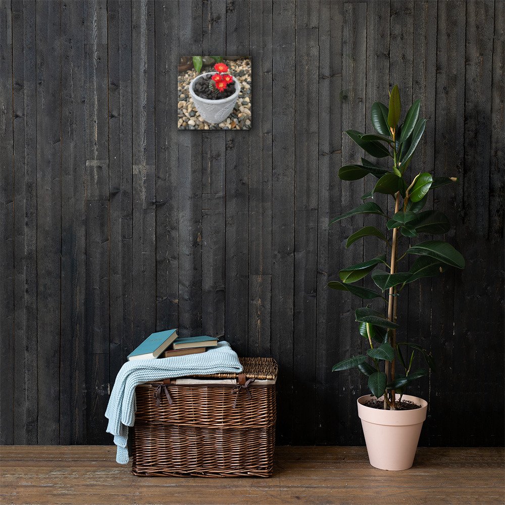 canvas-(in)-12x12-lifestyle-1-62dd979061b37.jpg