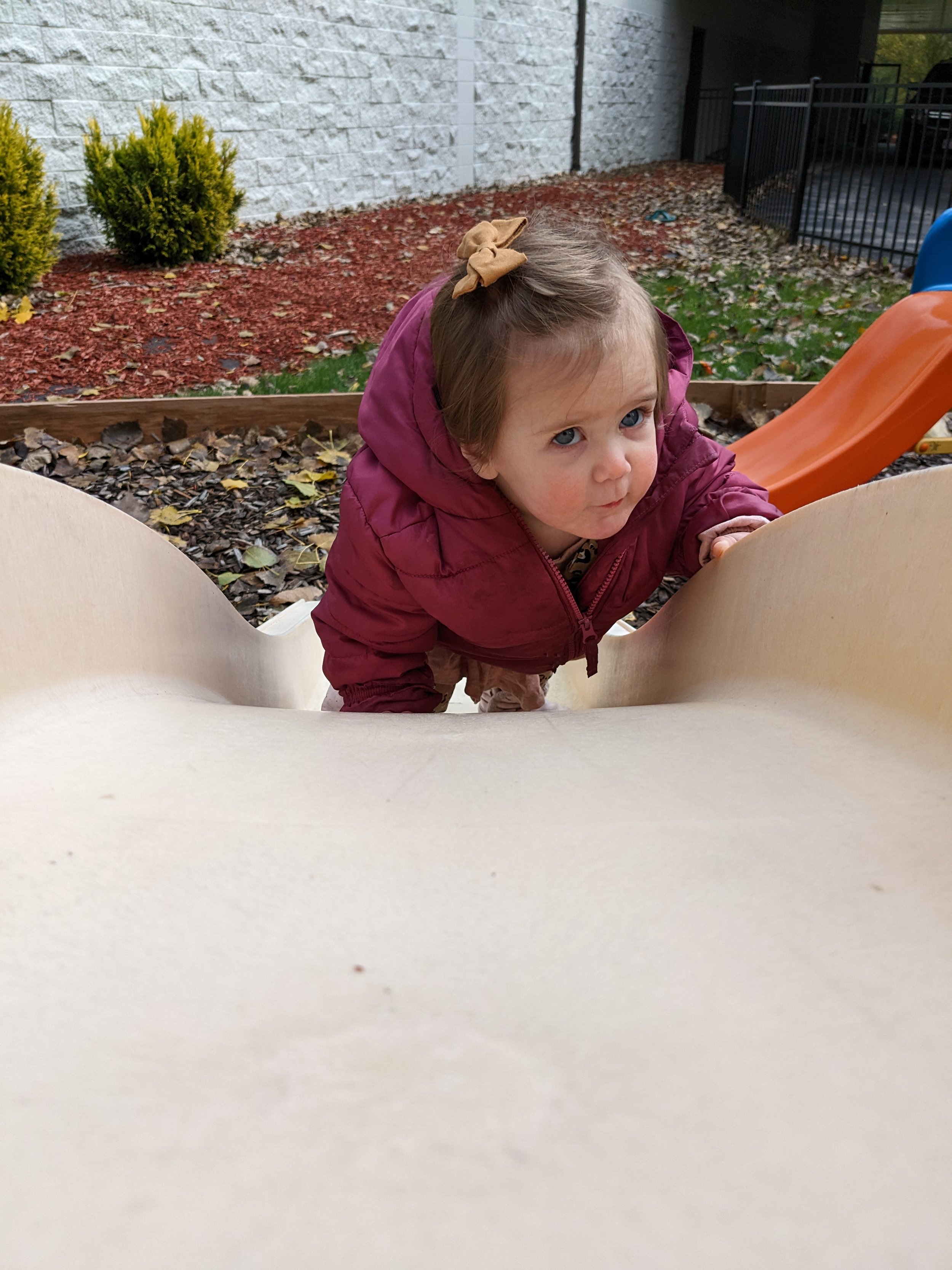 PXL_20221013_160148636.jpg