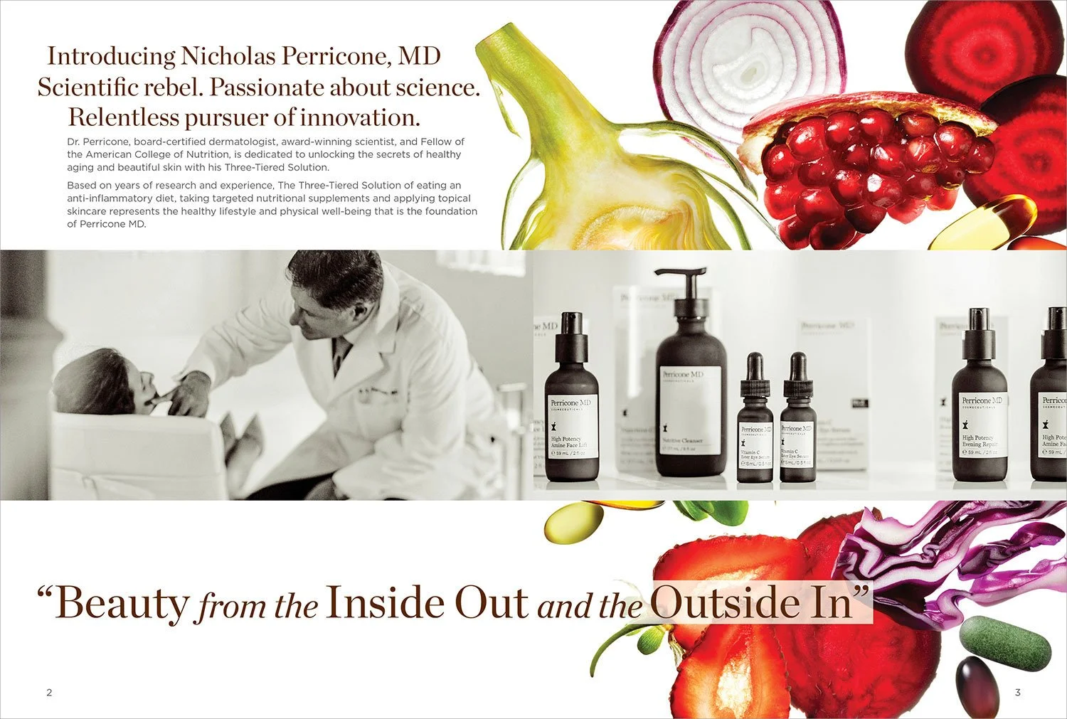 PMD_Brand_Brochure_2-3.jpg