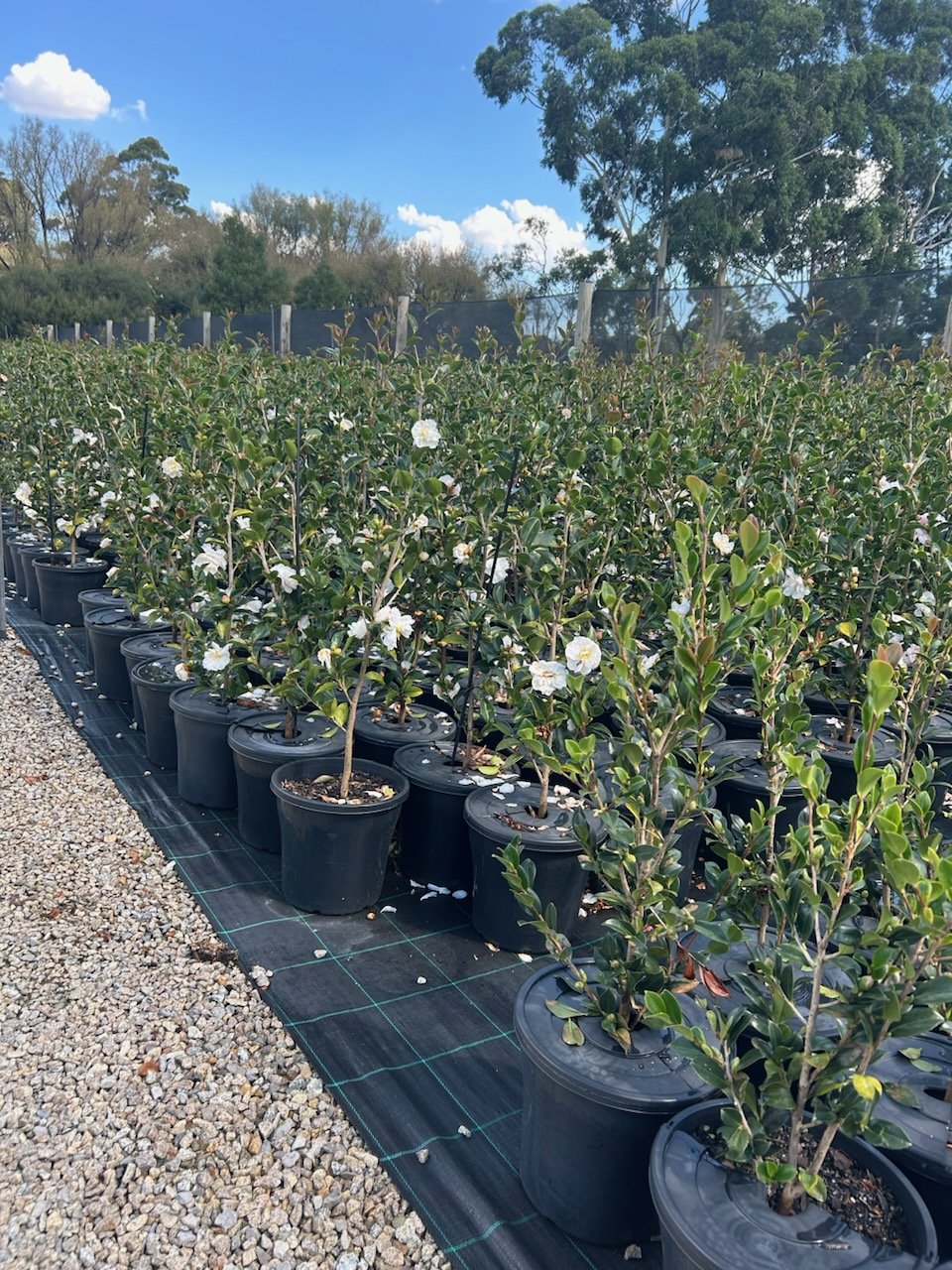 Small Steps Create Big Shifts 