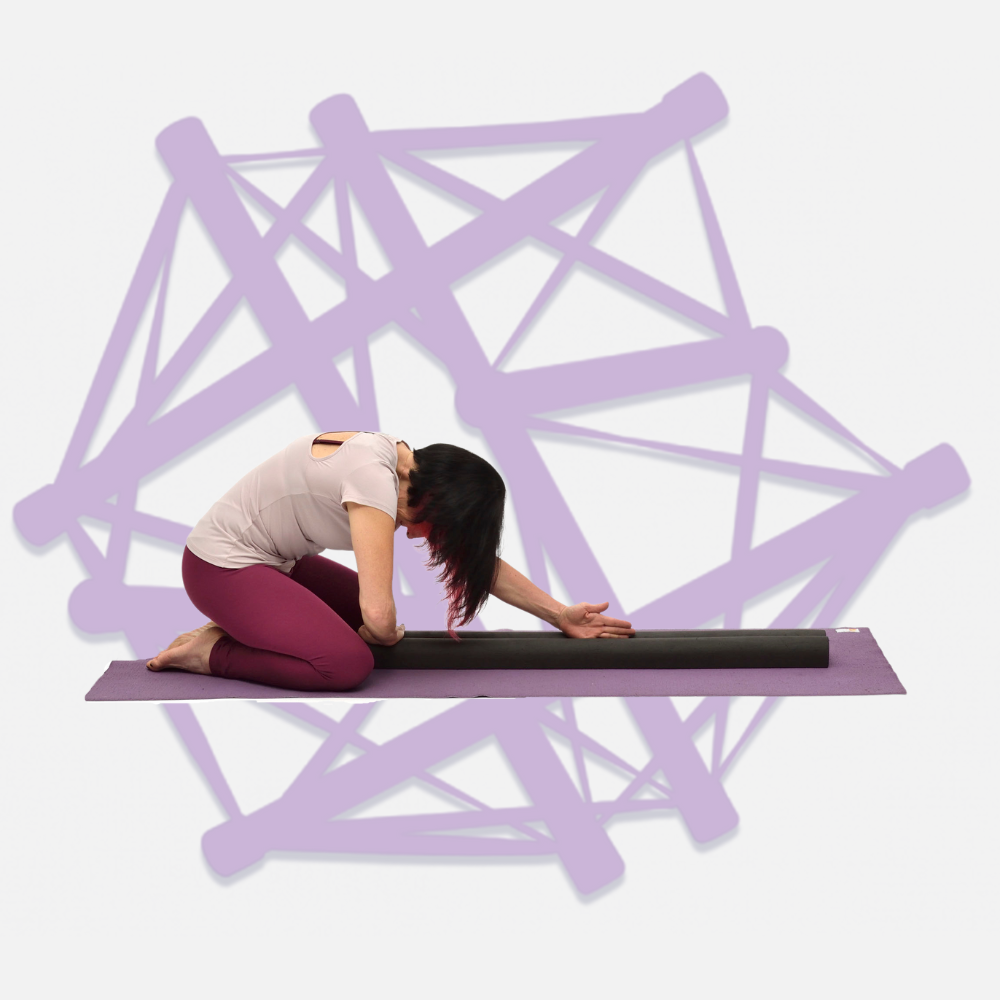Vectors & Movement - princípios do treinamento da fáscia - Presencial