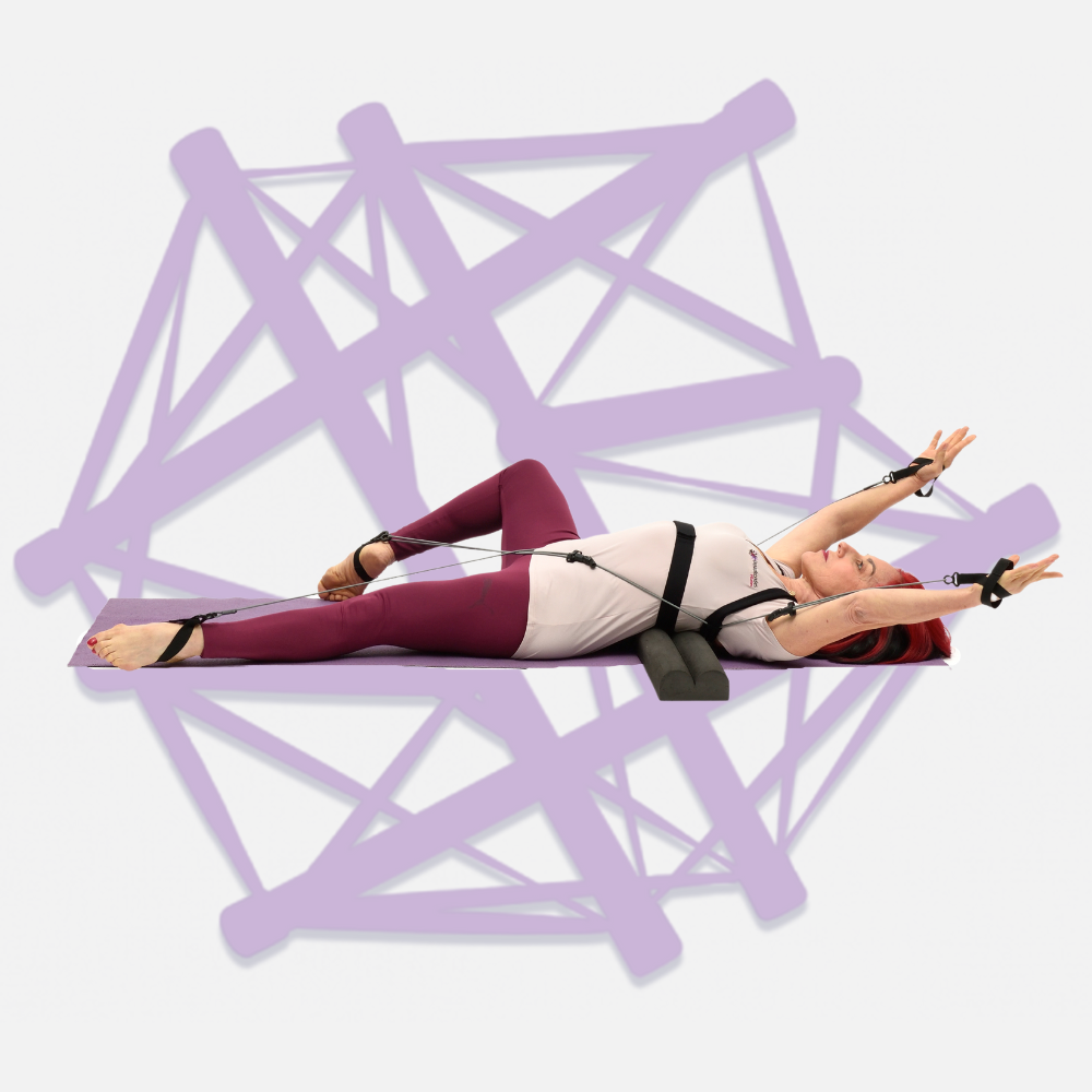Vectors & Movement - a fascial approach - Inglês - Online
