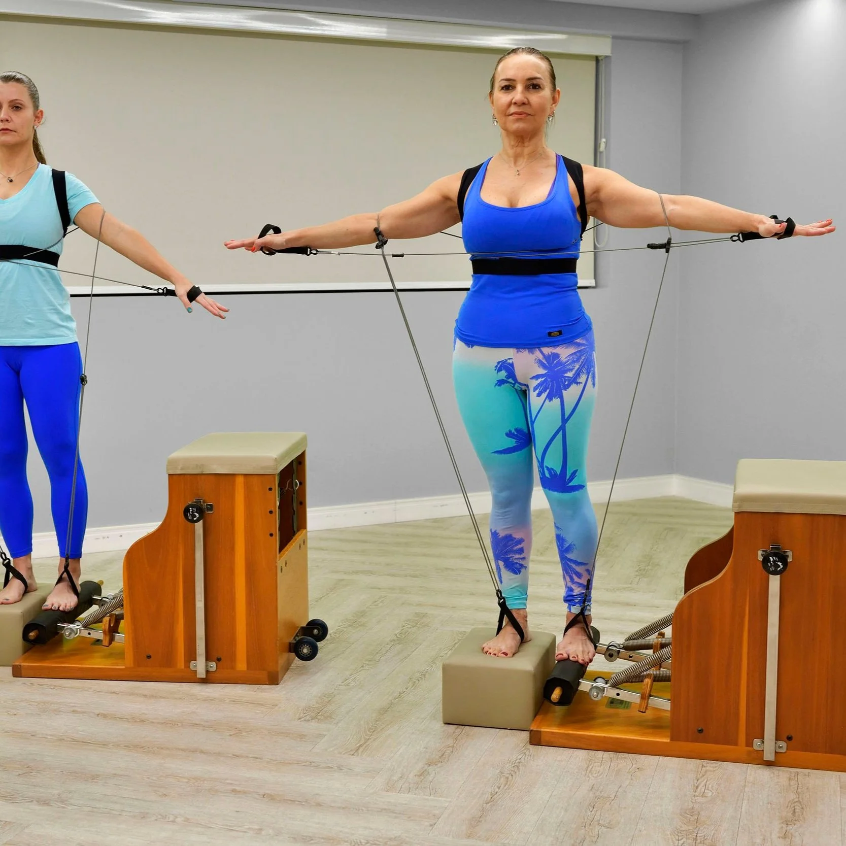 Módulo II - Desordens Musculoesqueléticas dos Membros Inferiores e Superiores