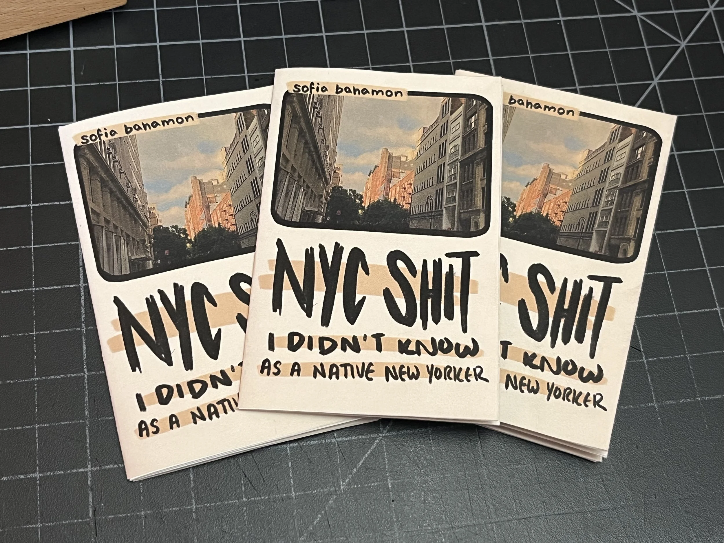 New York Sh*t I Didn't Know