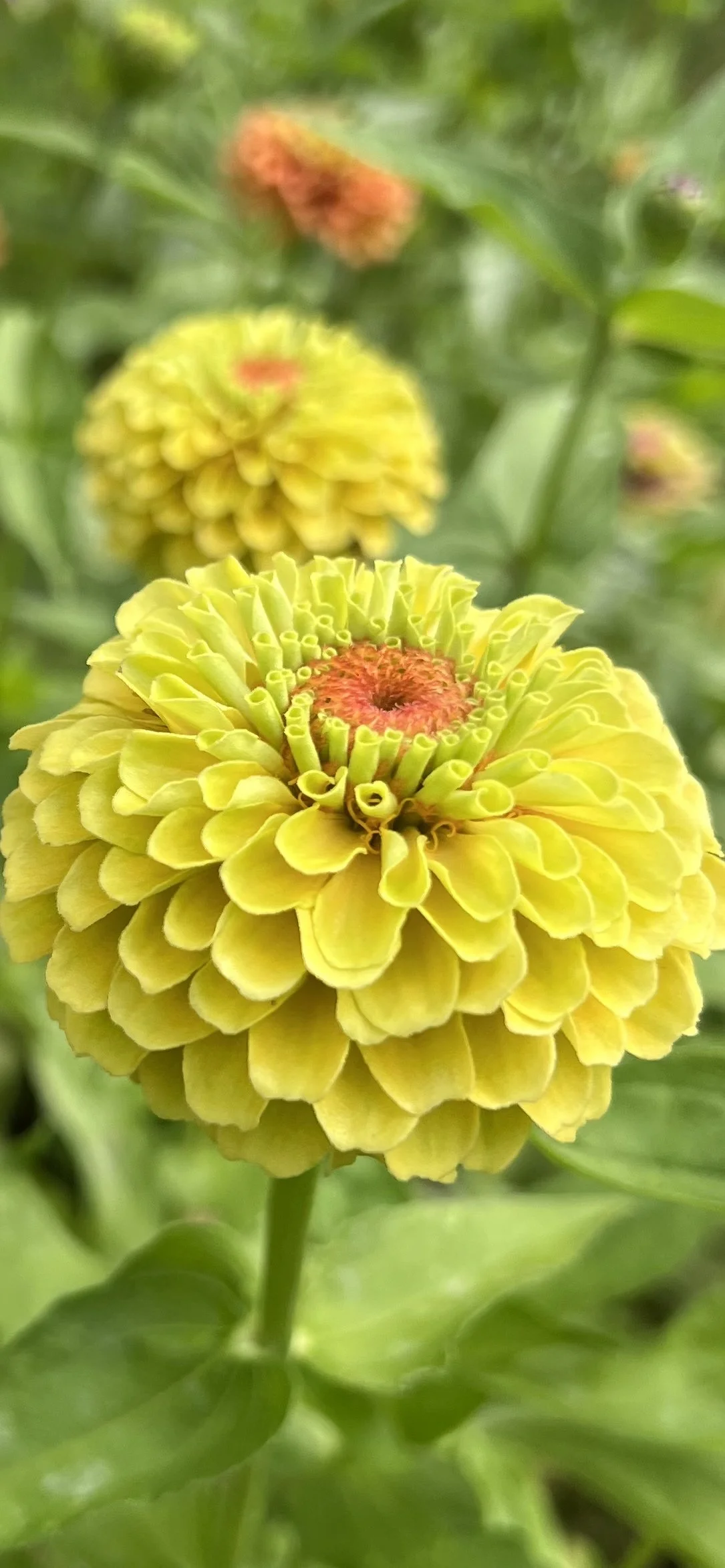 Photo Sep 11 2022, 5 21 56 PM.jpg