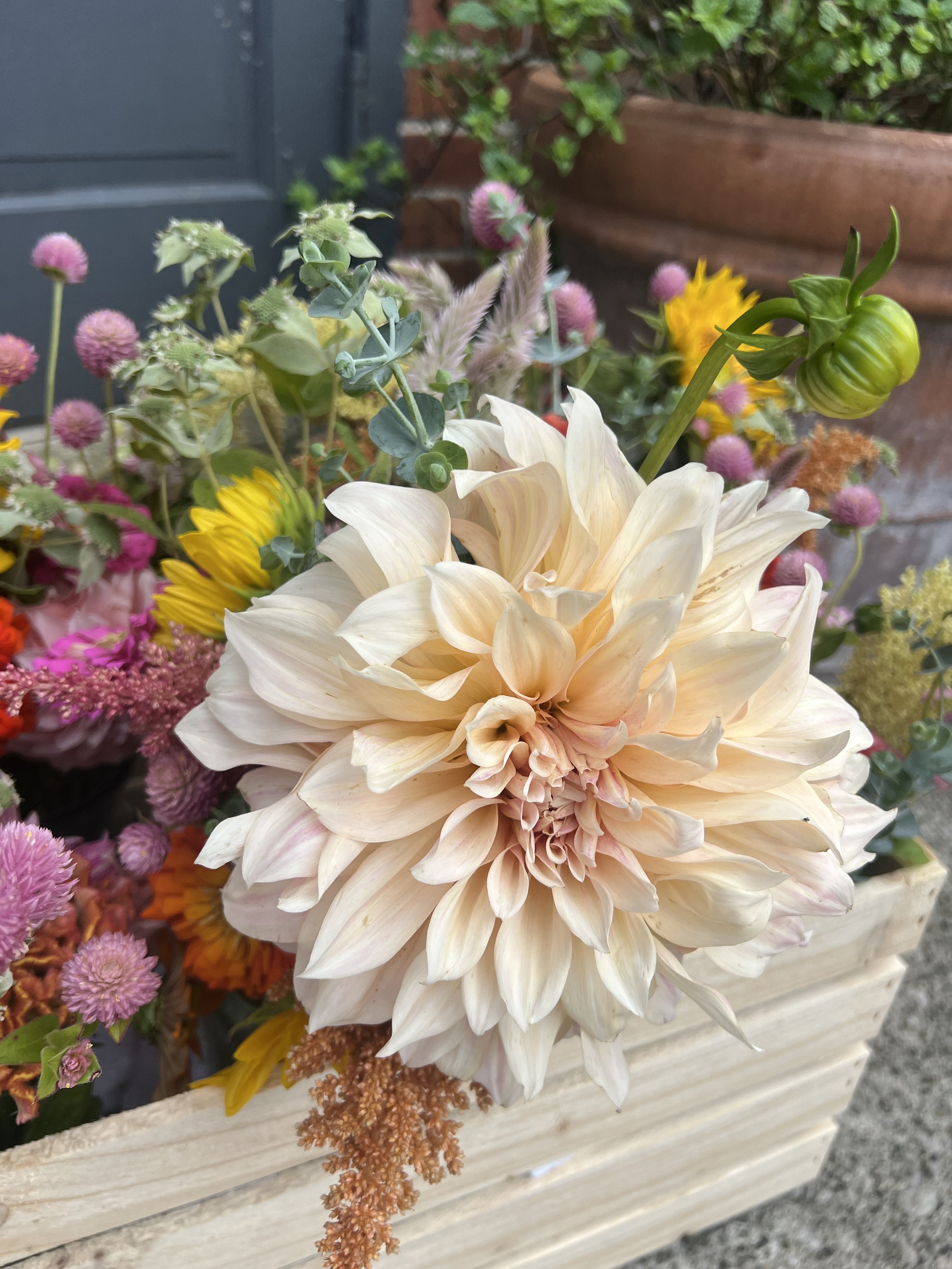 Photo Aug 22 2025, 4 19 25 PM.jpg