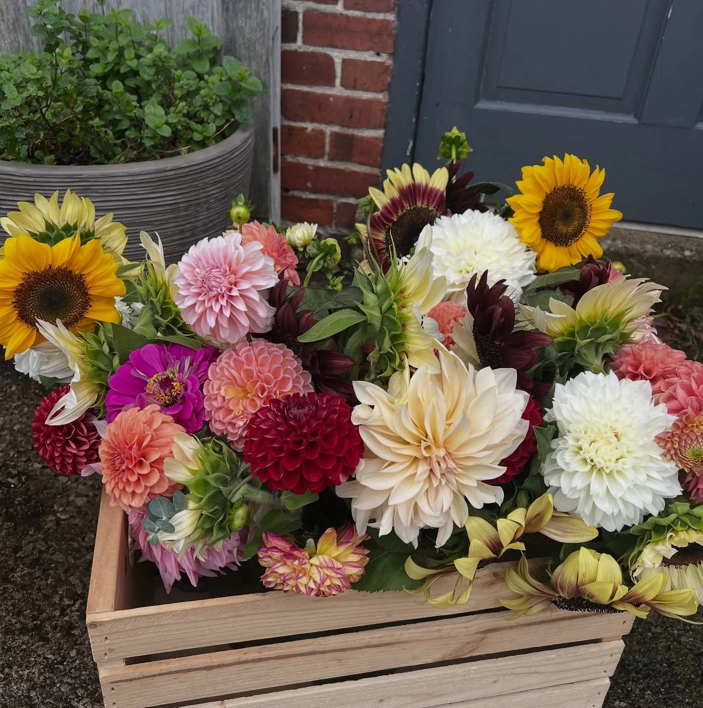 🌸 Happy Flower Friday! 🌸
First Friday in October already… cooler nights, cozier days, and we’re soaking up the last of the flowers before the season winds down. 🍂✨ Here’s to savoring every autumn bloom while it lasts. 💐
&mdas