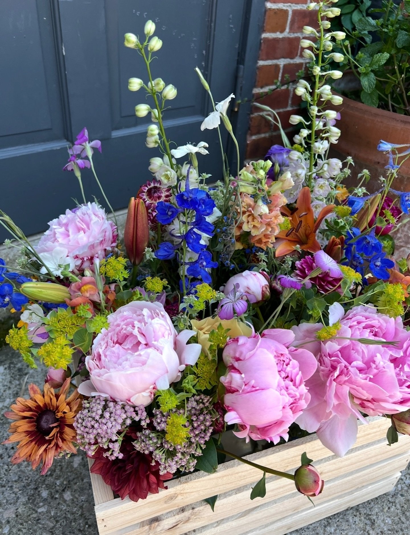 🌸 Happy Flower Friday! 🌸

We&rsquo;re soaking up these cozy fall days, but behind the scenes, spring is already in motion. All our spring flower seeds are planted and tucked in &mdash; quietly growing so we&rsquo;ll have plenty of blooms waiting fo