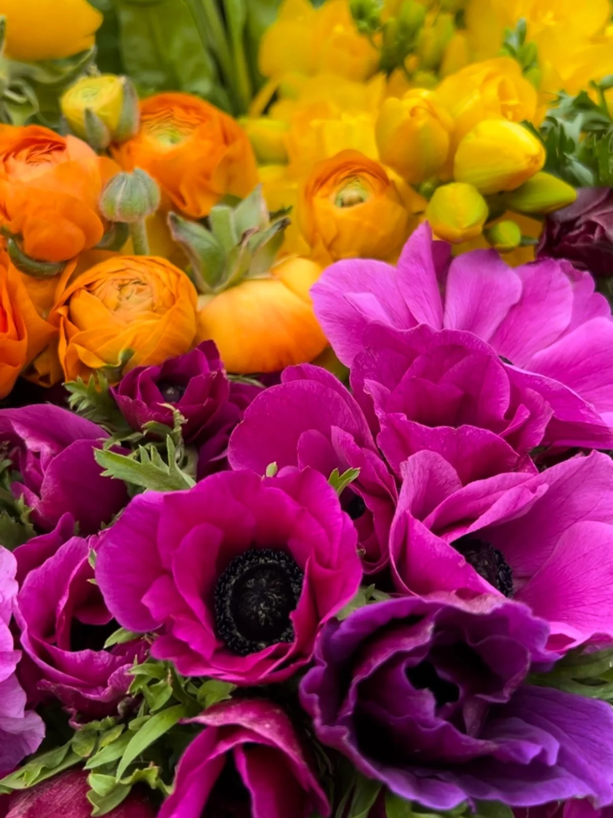 🌸 Happy Flower Friday!

The farm is officially buried in snow, the row covers are off, and the tiny spring flowers are tucked under a snow blanket. 

As we head into a weekend of negative temps, I&rsquo;m holding onto the thought of all the color th