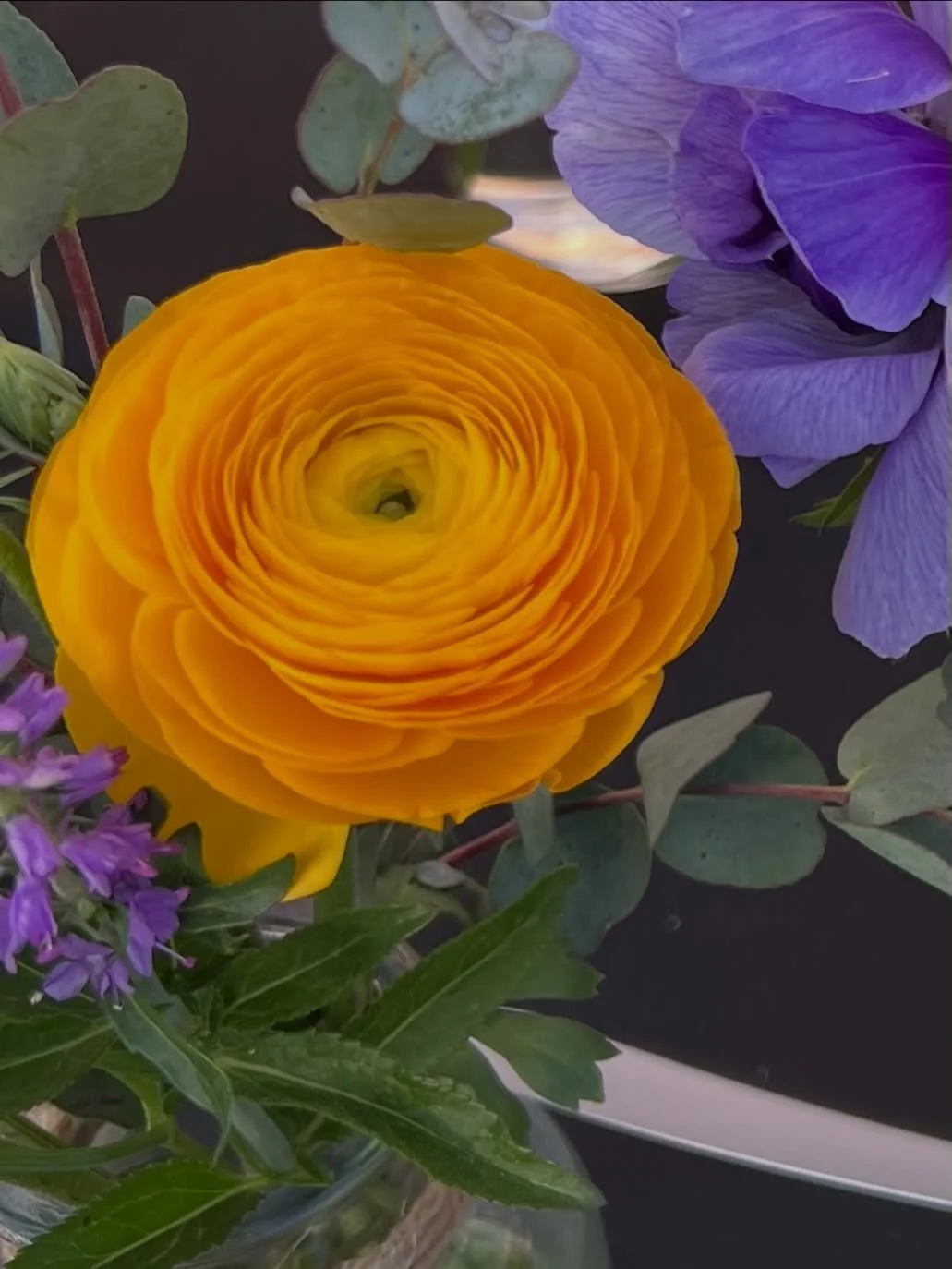 What&rsquo;s growing this week? Ranunculus 

These tiny, odd little tentacle‑shaped corms have been tucked away in a cool, dark closet to sprout roots, and now they&rsquo;re under lights. Soon they&rsquo;ll be covered in green leaves and ready to hea