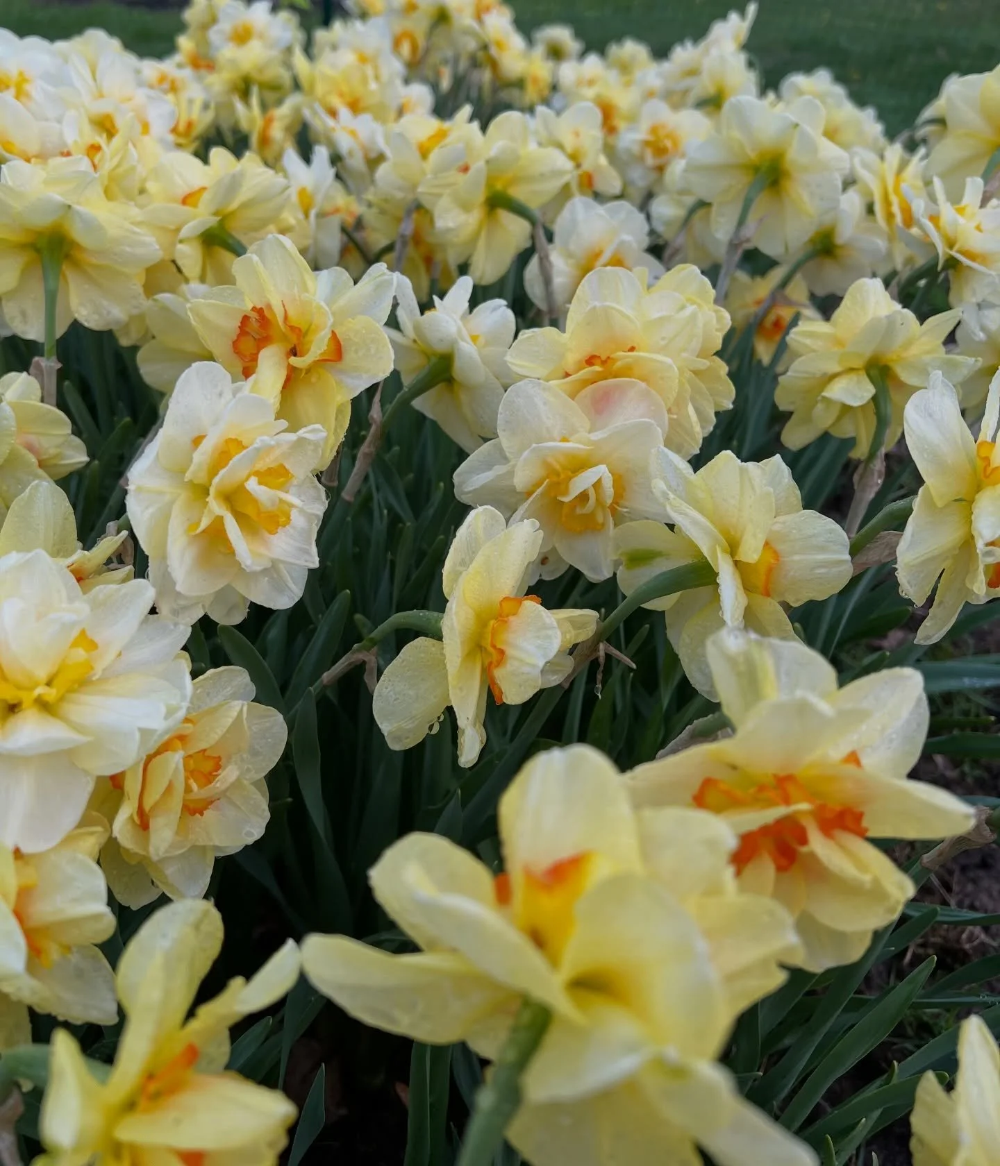 Starting the day off on the bright side 💛