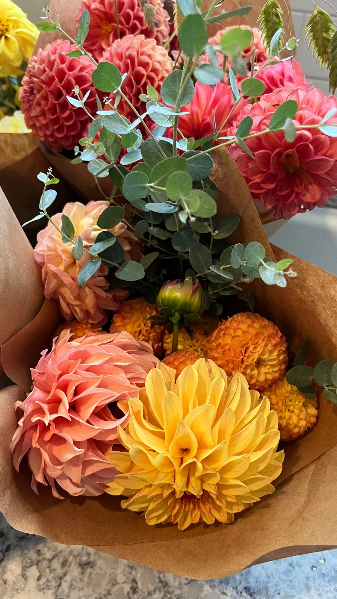 Photo Oct 11 2025, 11 21 58 AM.jpg