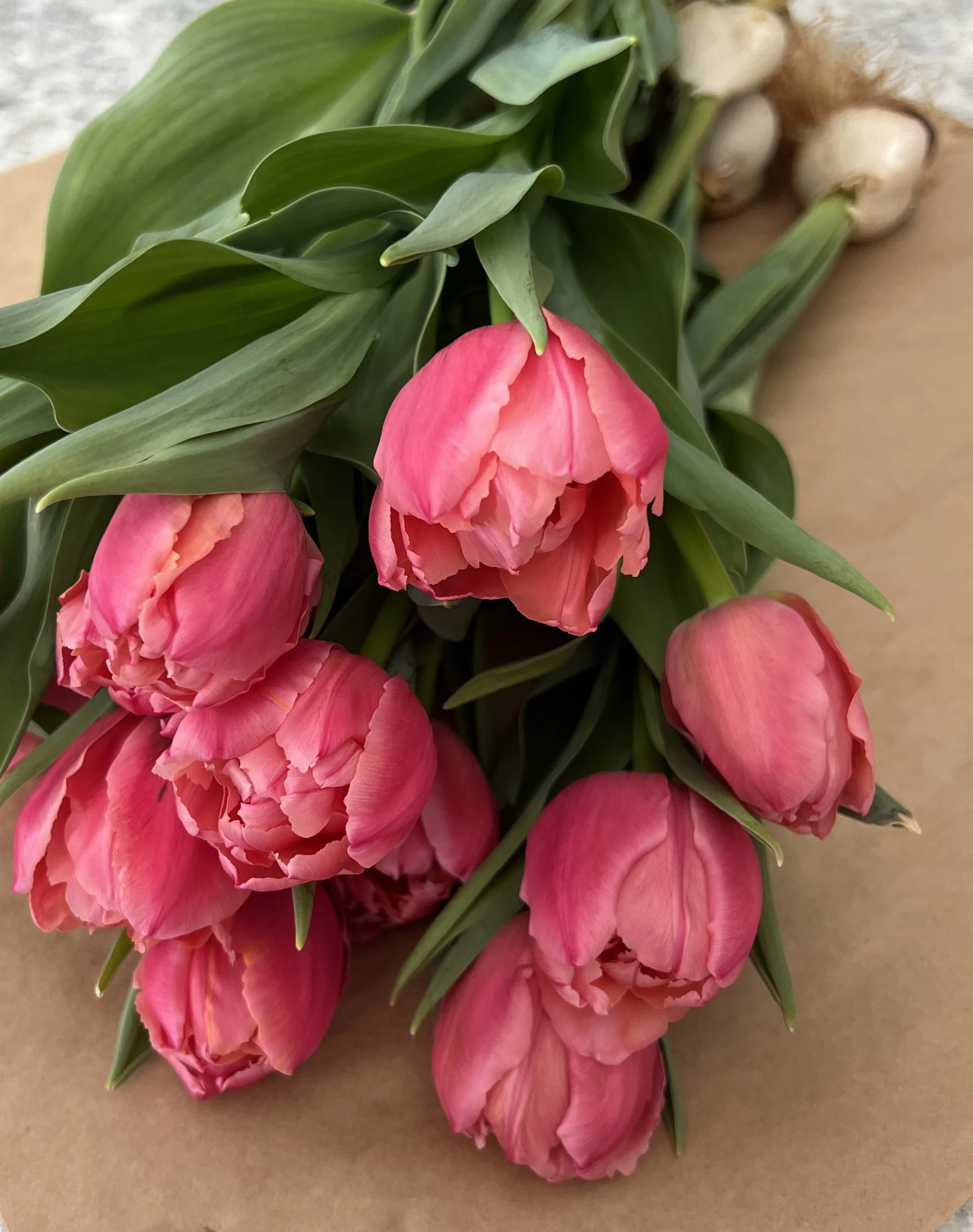 SOLD OUT - WHFF Winter Tulips - Valentines Day Delivery