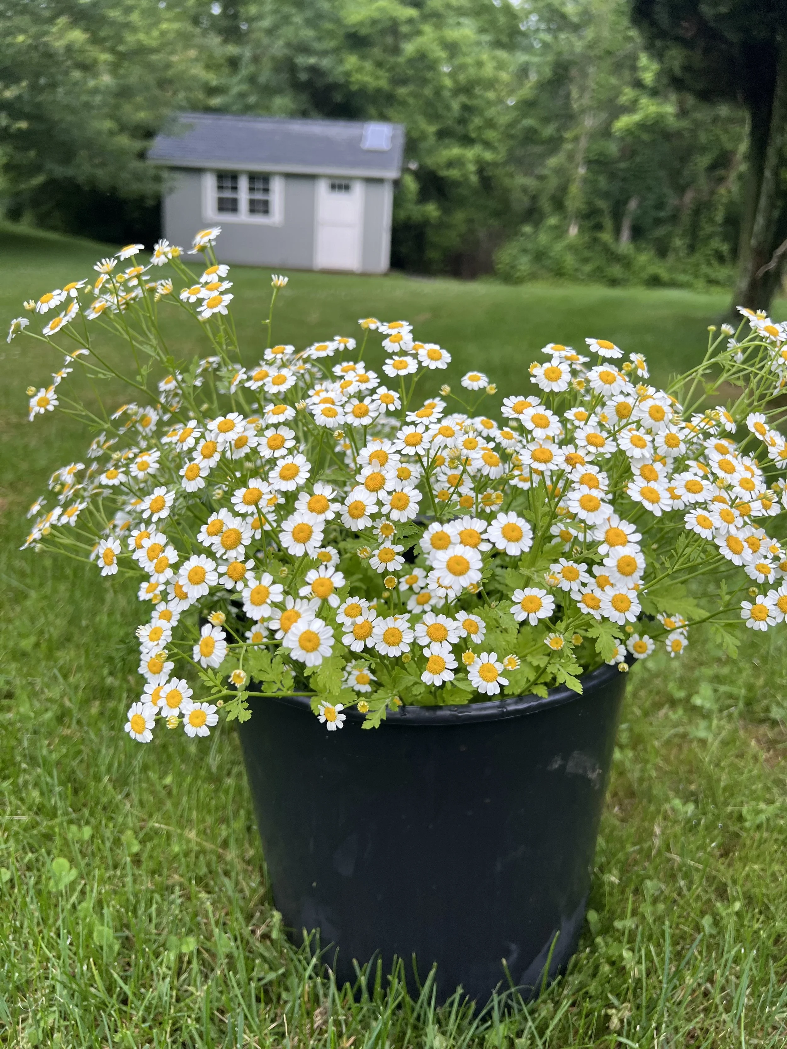 Photo Jun 05 2024, 8 27 44 PM.jpg