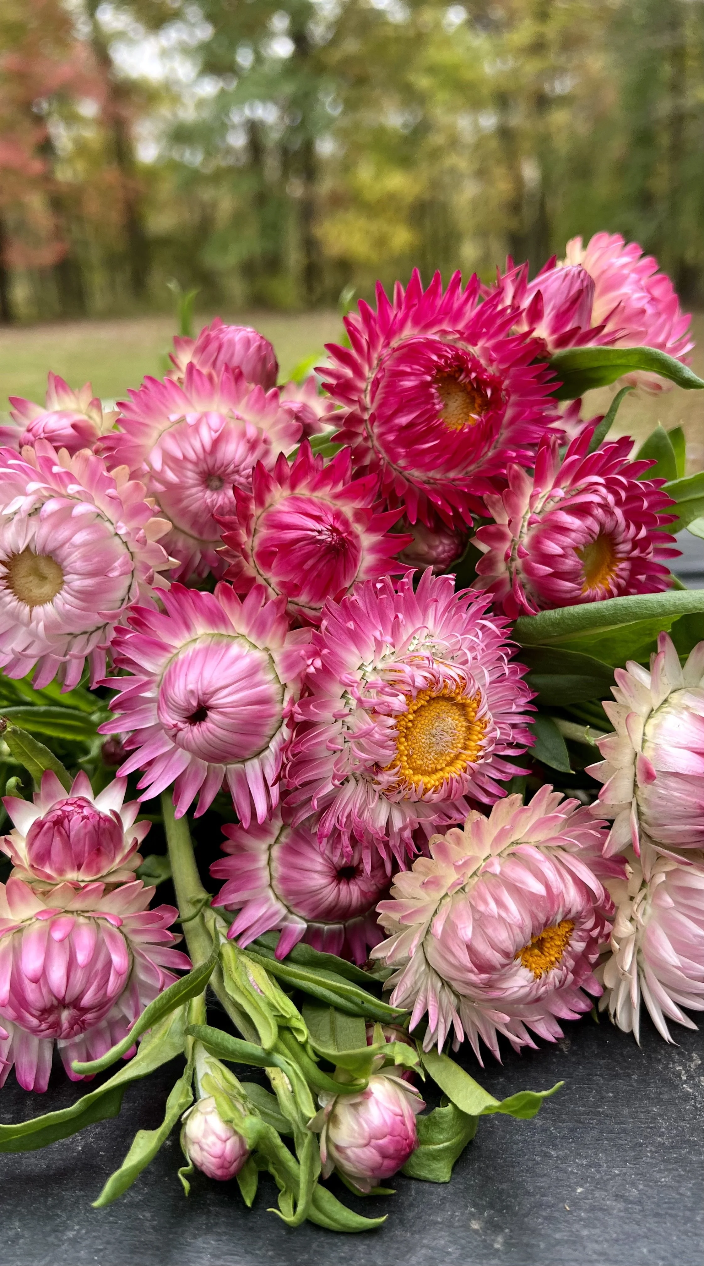 Photo Oct 15 2023, 1 15 09 PM.jpg