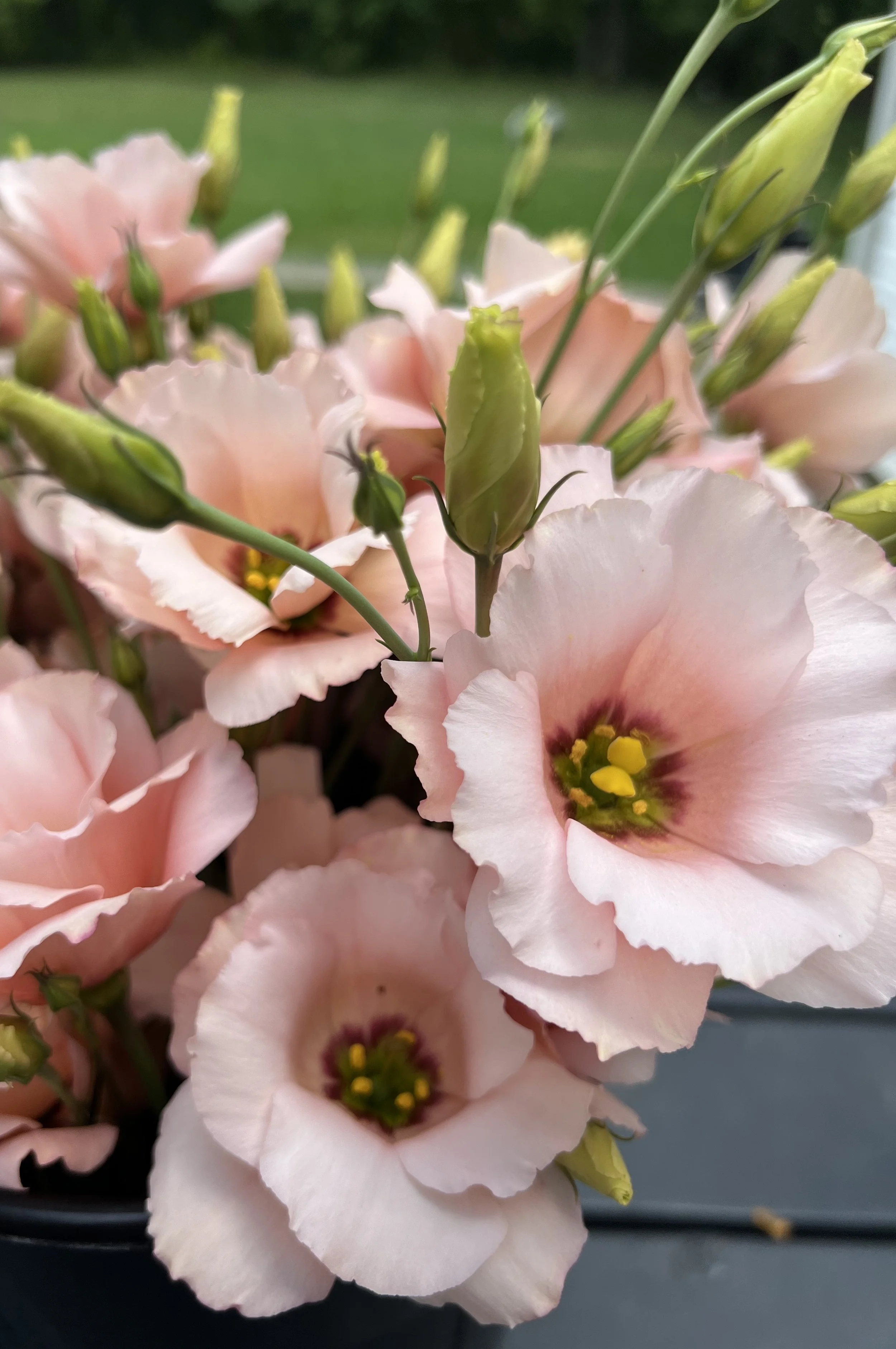 Photo Sep 04 2023, 1 41 08 PM.jpg