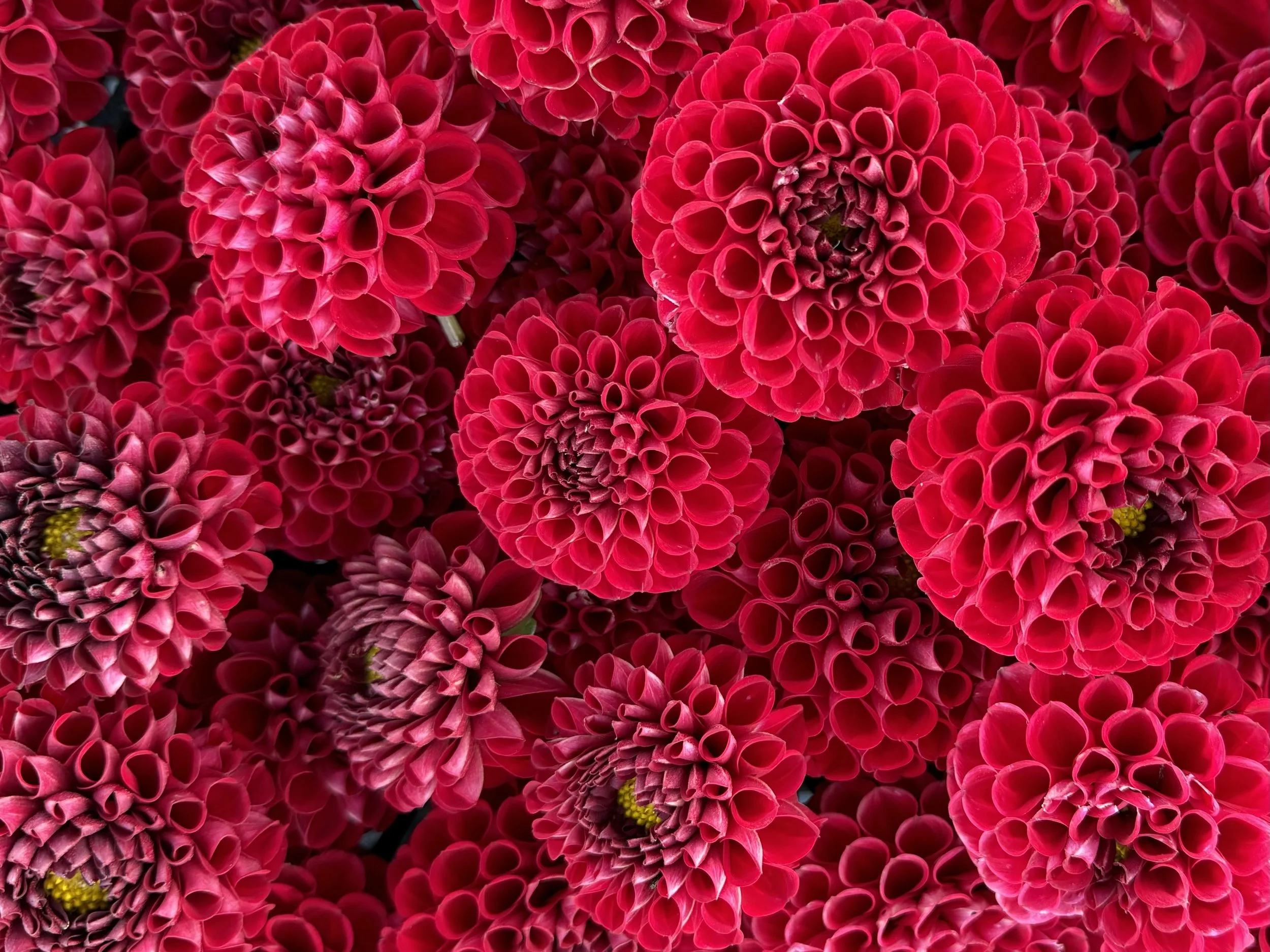 Photo Oct 12 2024, 5 43 00 PM.jpg