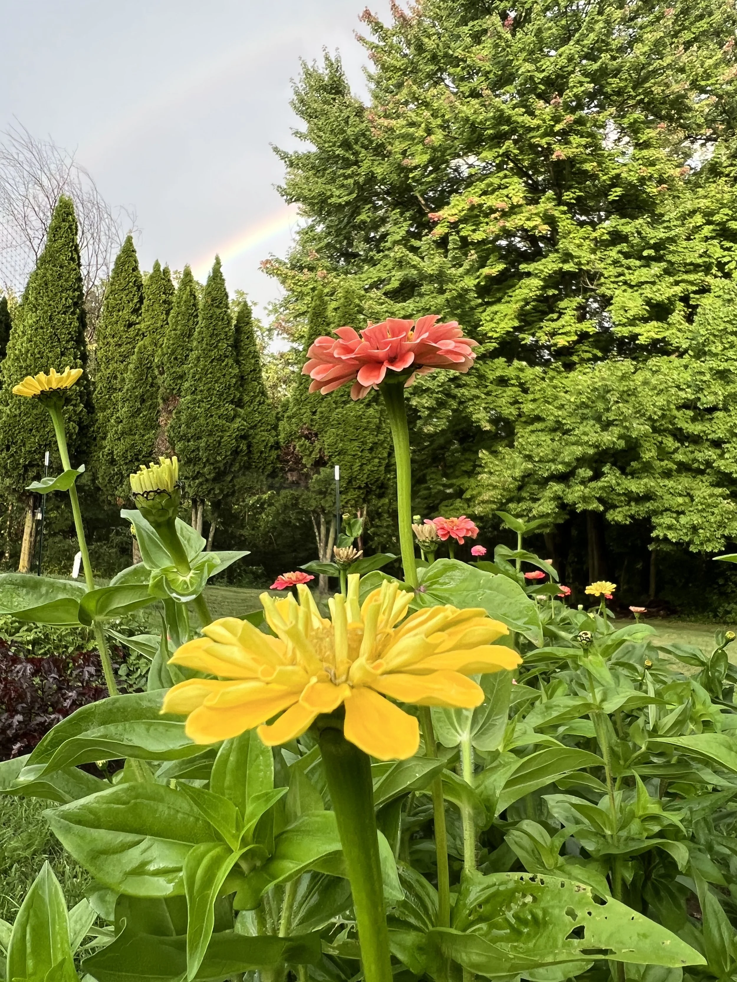 Photo Aug 20 2022, 7 21 43 PM.jpg