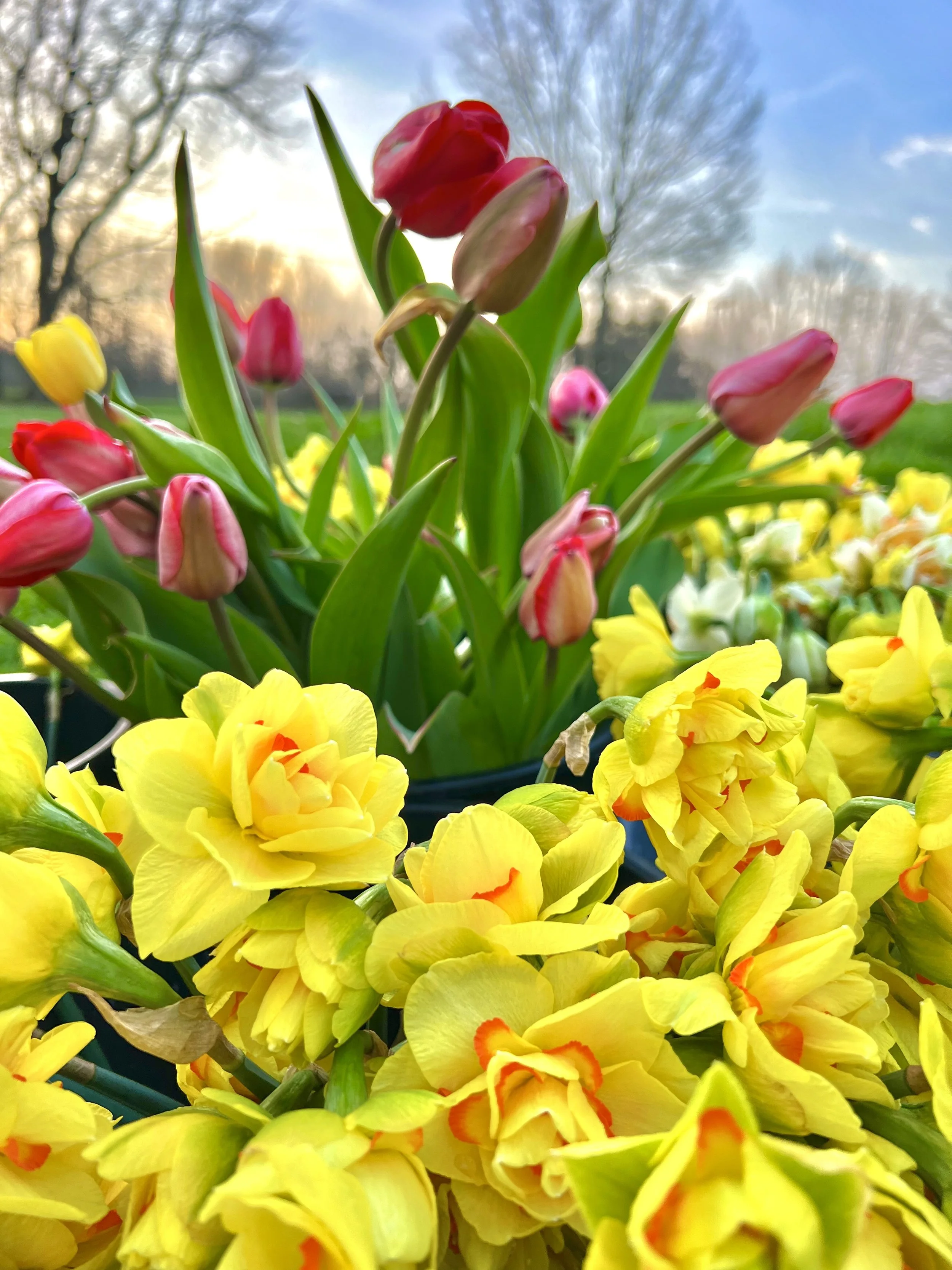 Photo Apr 11 2023, 7 49 55 PM.jpg