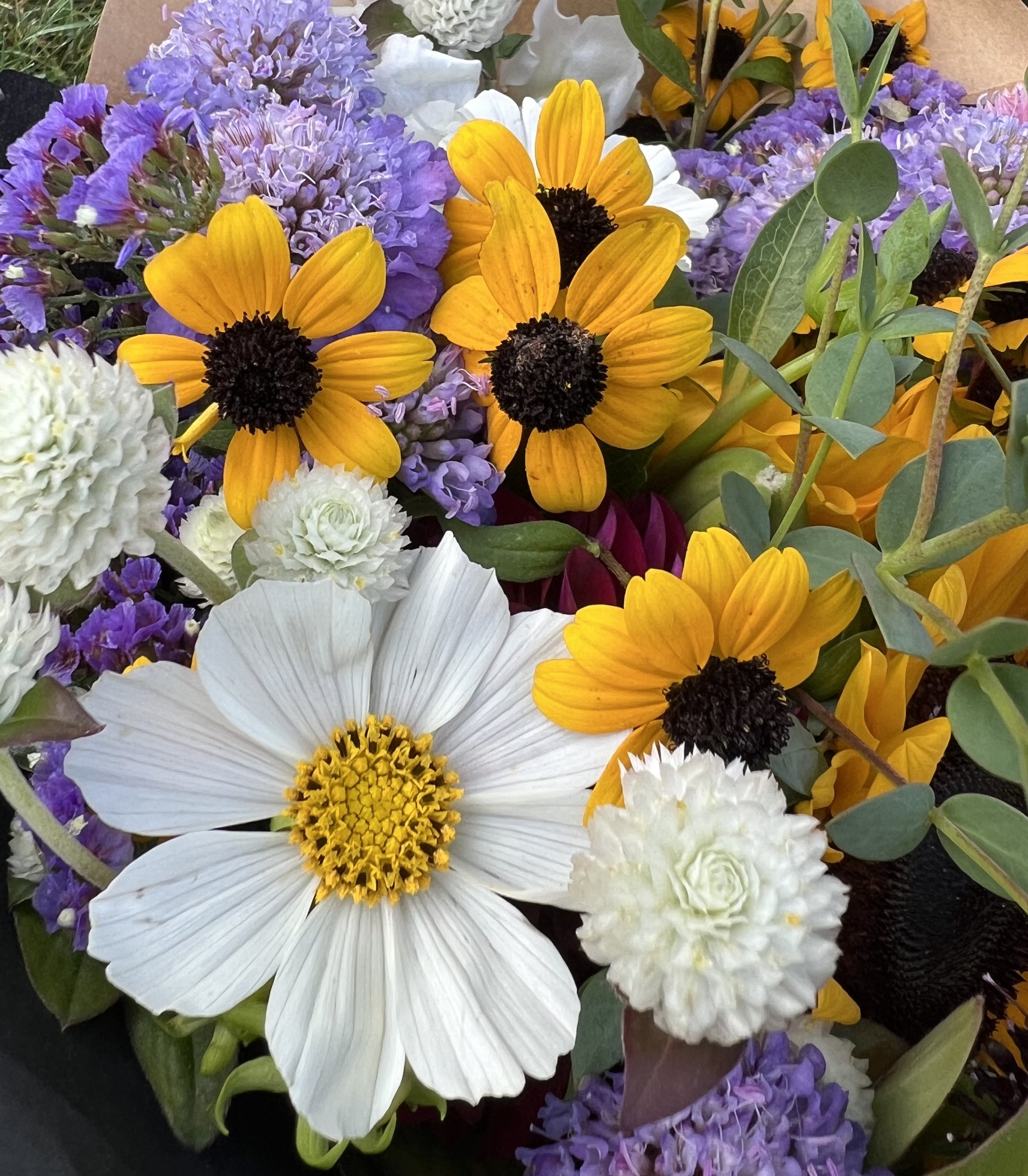 Photo Aug 23 2024, 7 48 06 AM.jpg