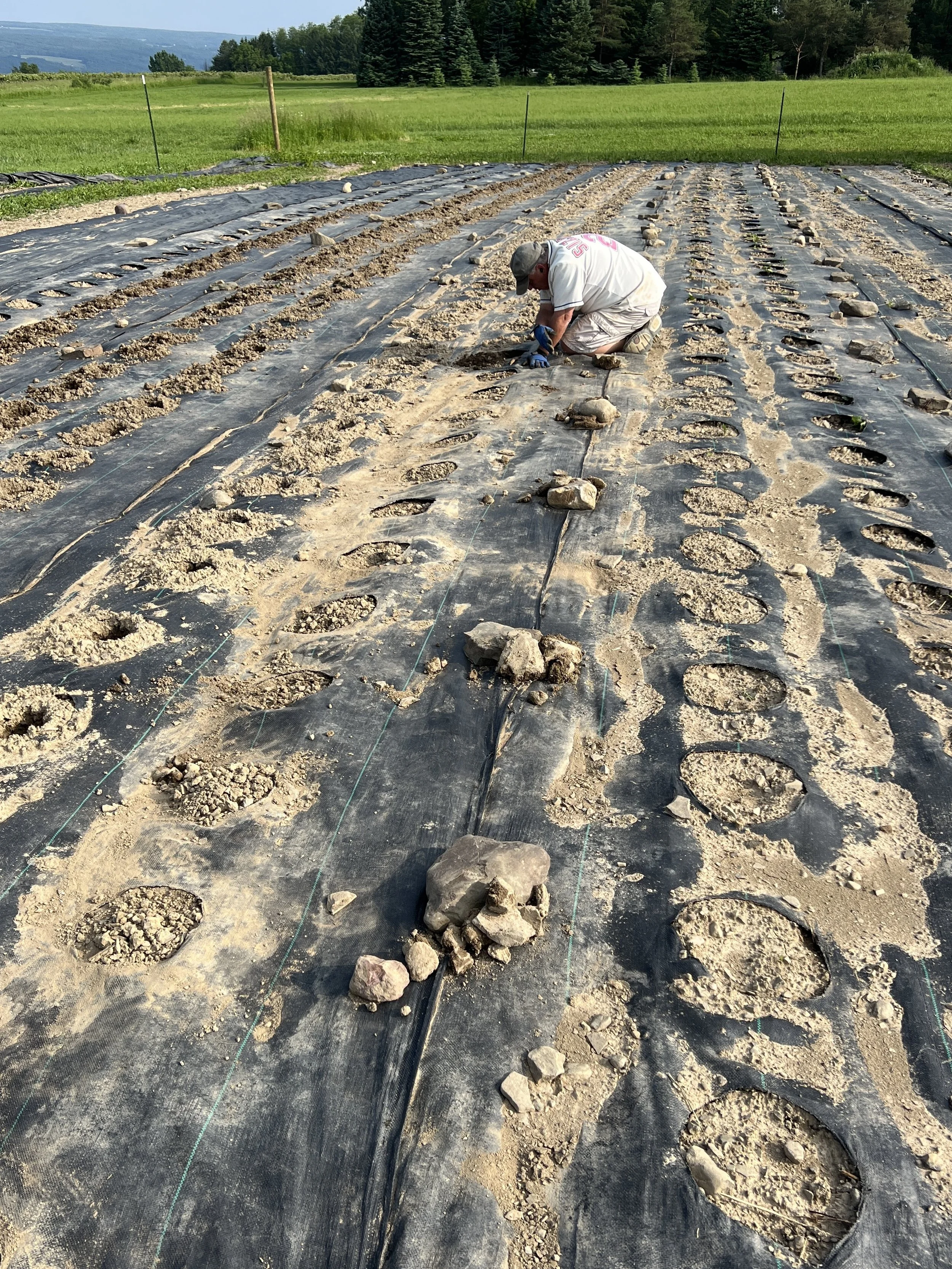 Photo Jun 11 2025, 5 39 31 PM.jpg