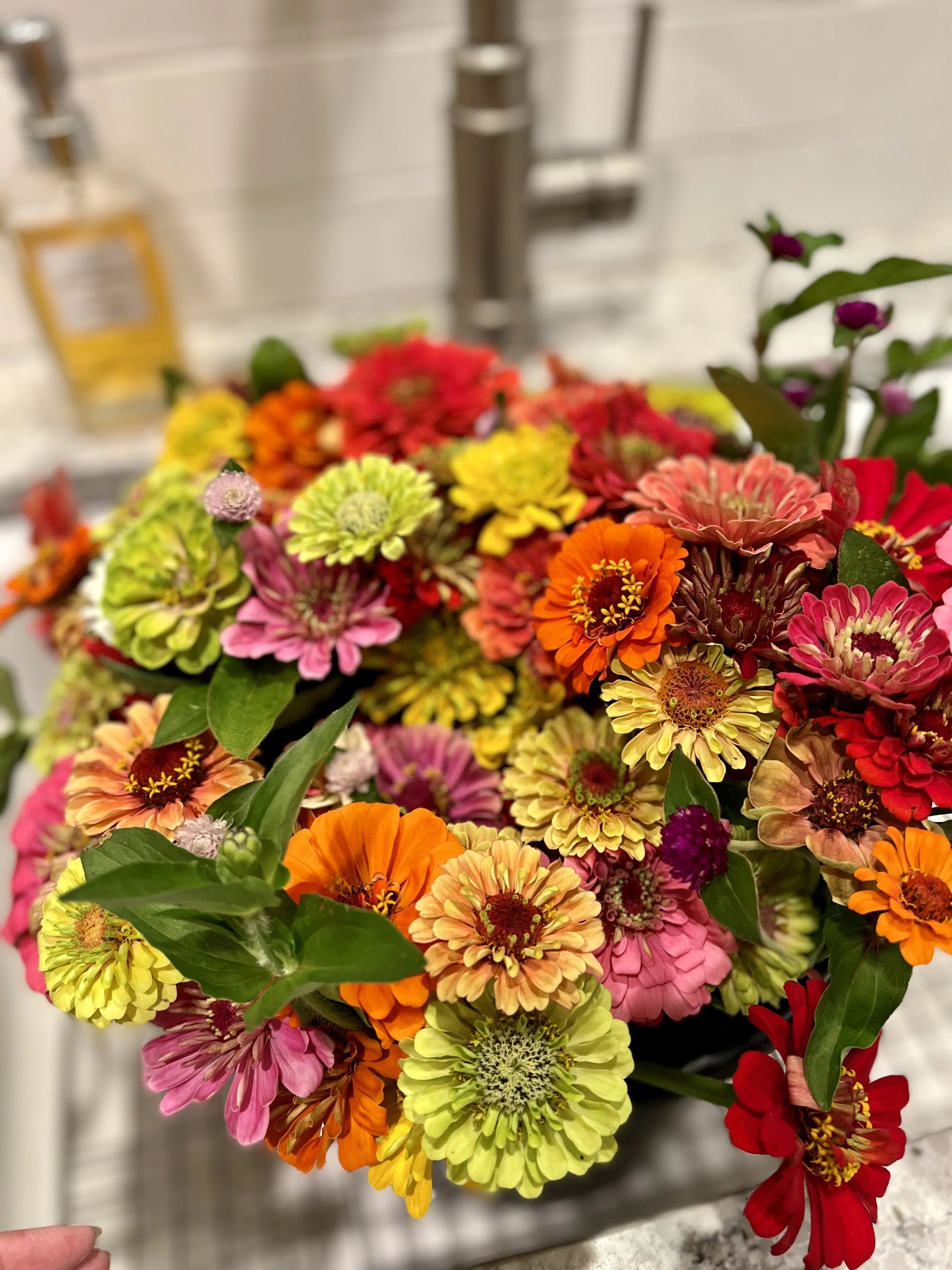 Photo Aug 23 2022, 10 06 43 PM.jpg