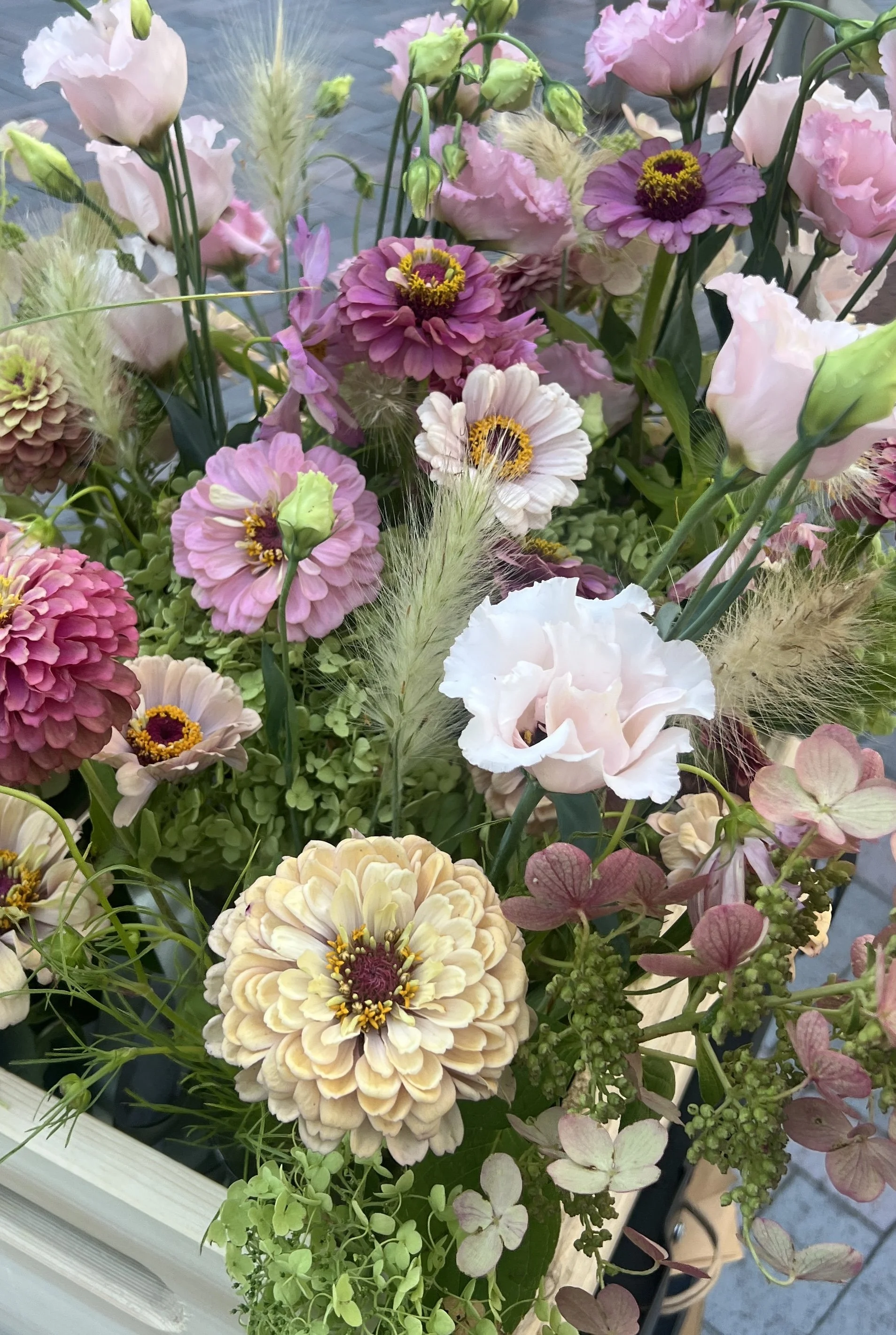 Photo Aug 16 2025, 4 30 28 PM.jpg