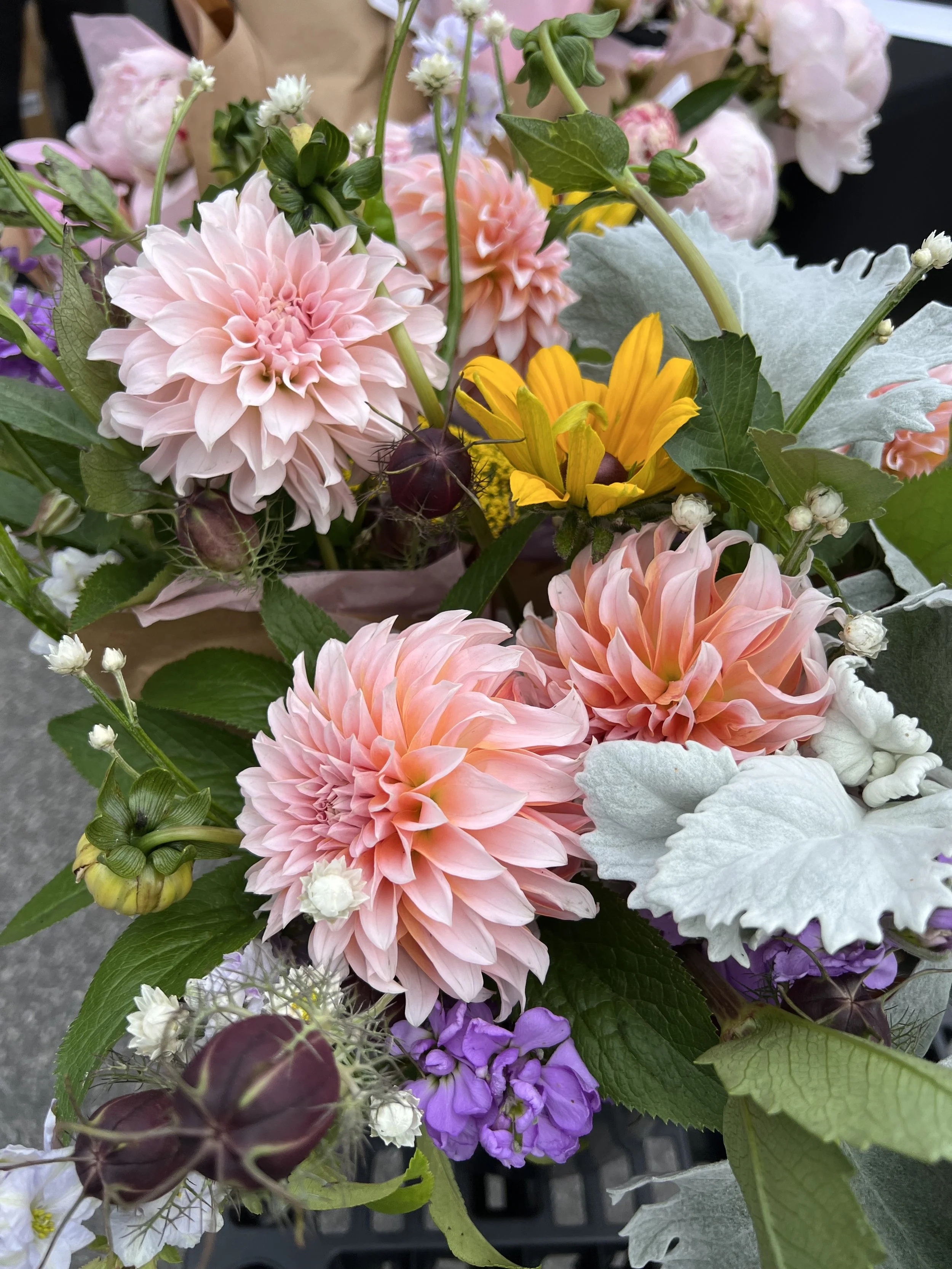 WHFF Flower Club | Dahlia Subscription (3 Weeks, local delivery included)