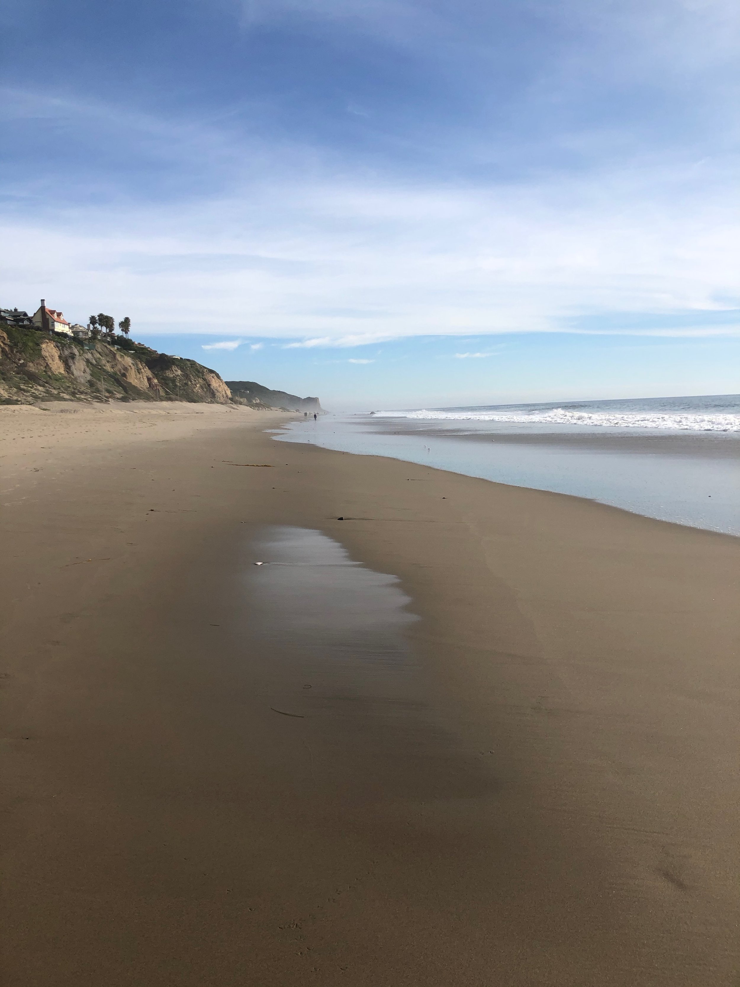 IMG_5038.jpeg