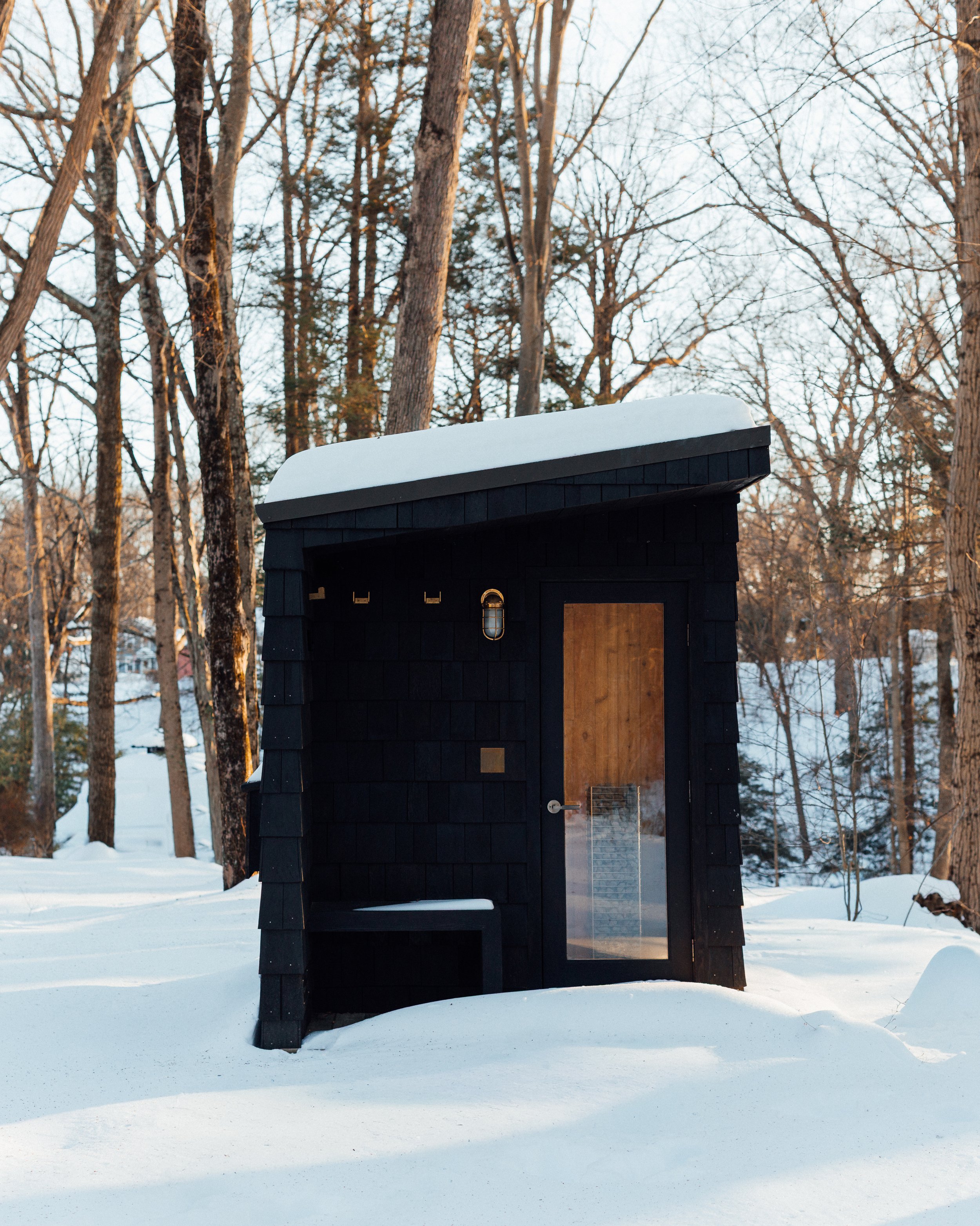 A black birdhouse with a snow-covered roof stands in a snowy yard among bare trees during winter.