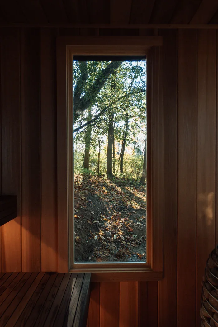 View of a wooded area with tall trees and fallen leaves seen through a tall rectangular window in a wooden paneled room.