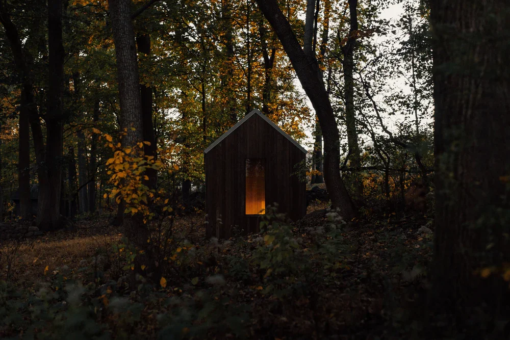A small wooden cabin in a dense forest at dusk, with warm light glowing from a narrow window.