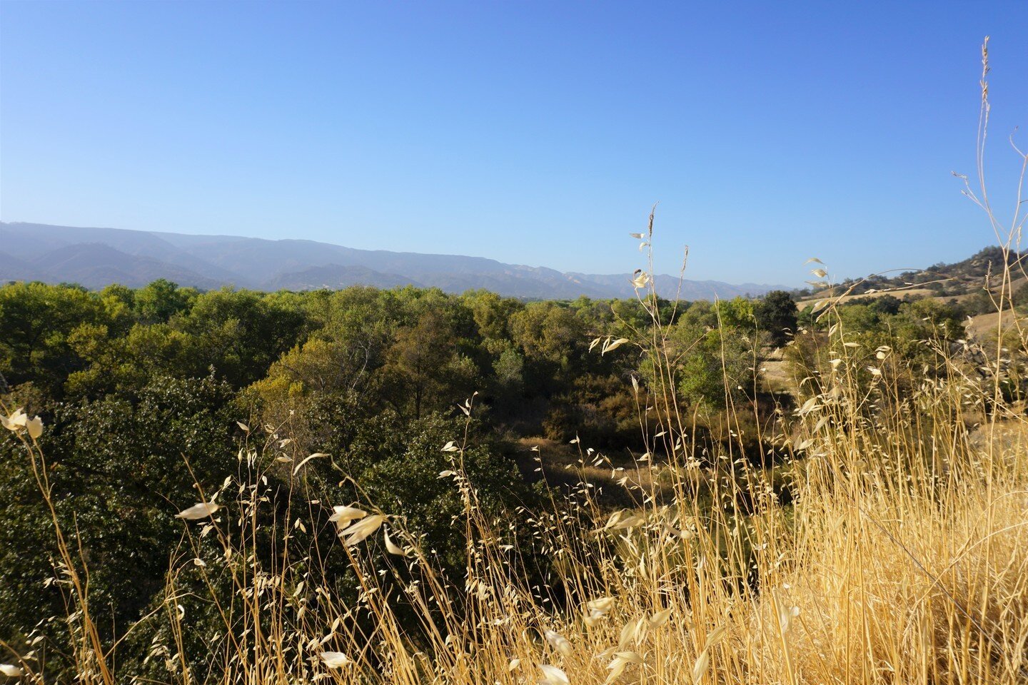 🌾⛰️ EXPLORE // with a view like this why would you ever want to leave?