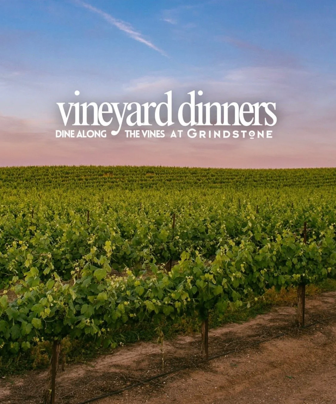 Vineyard Dinners
