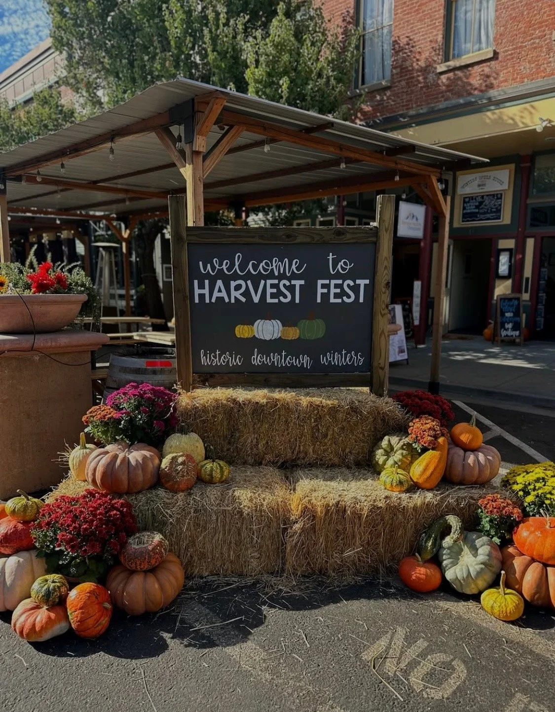 Downtown Winters Harvest Fest
