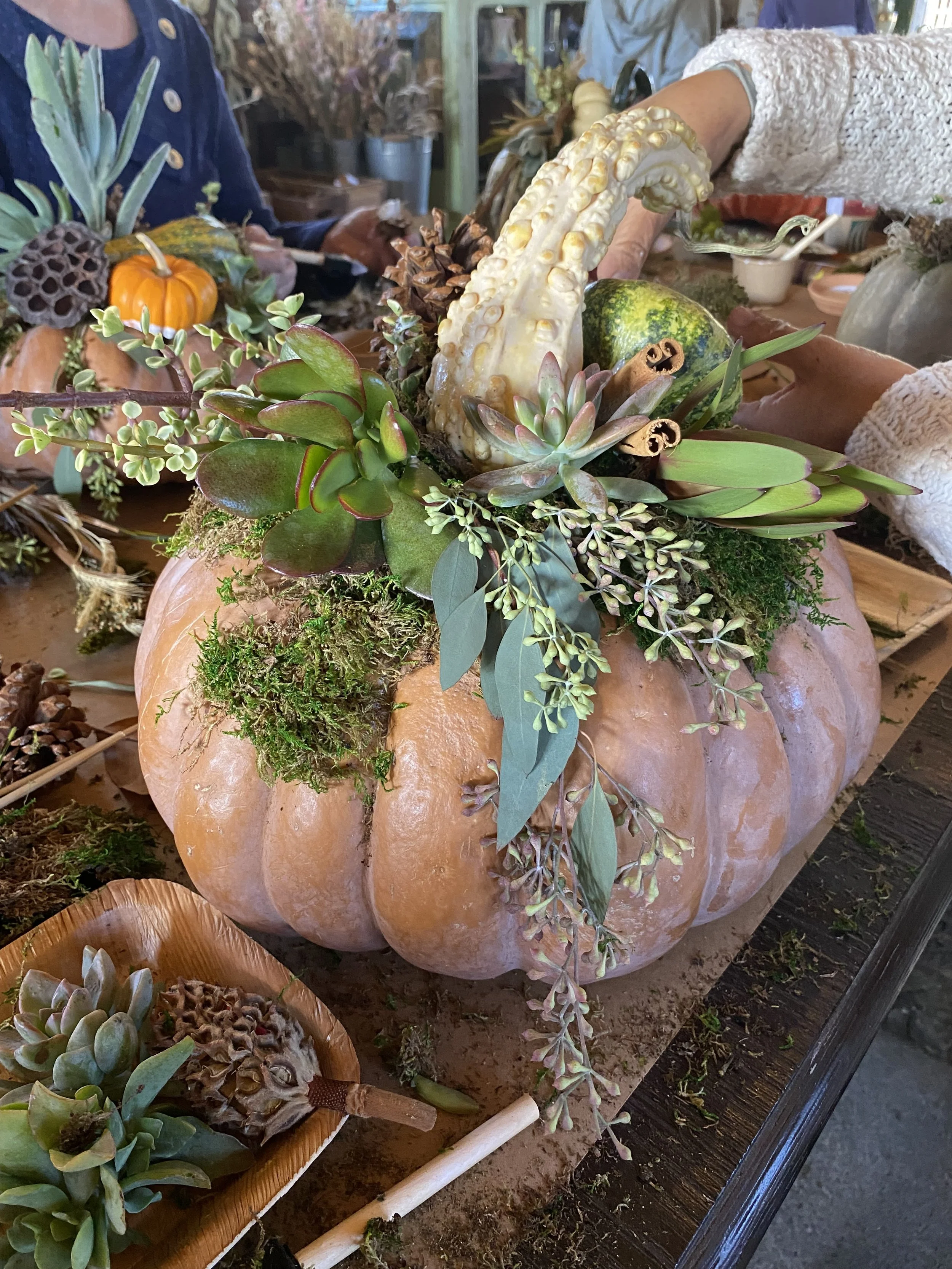 Fall Pumkulents Workshop