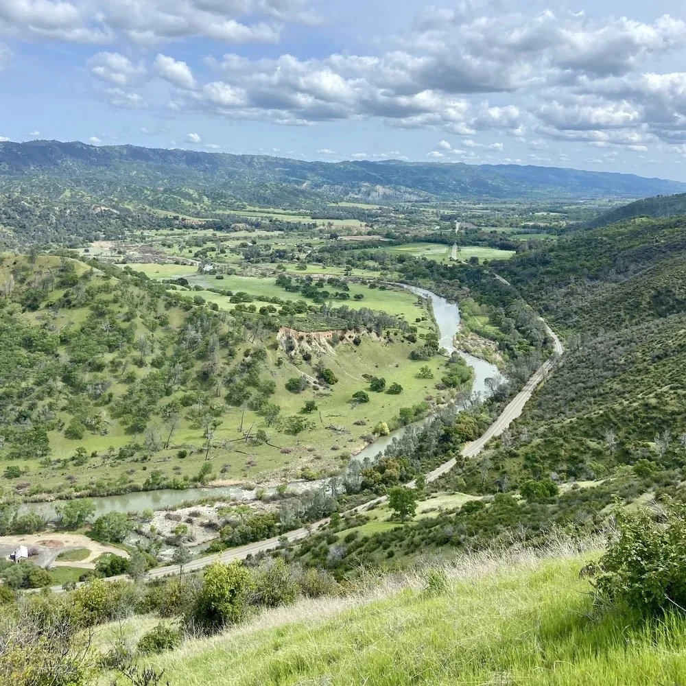 Capay Valley Grown Open Farm Day
