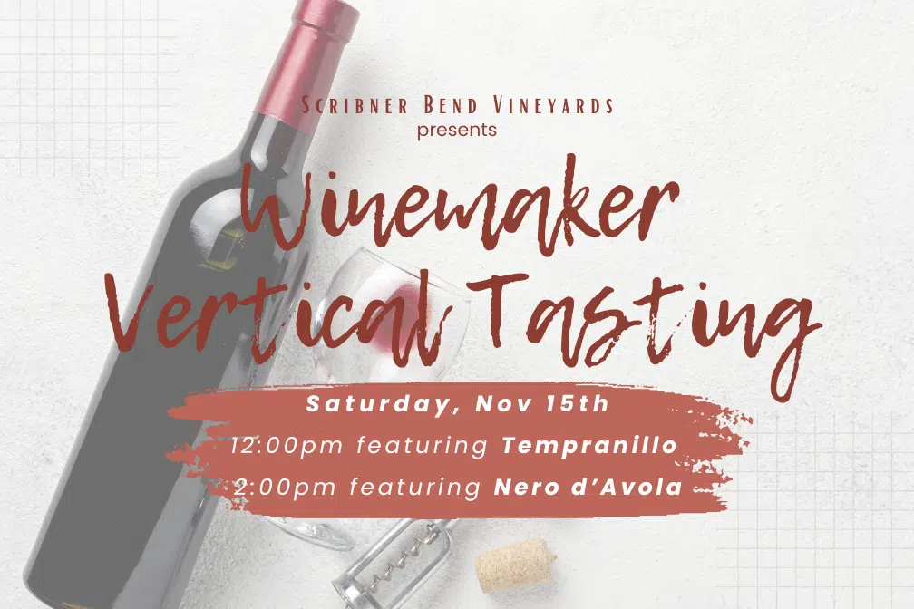 Winemaker Vertical Tasting 2025