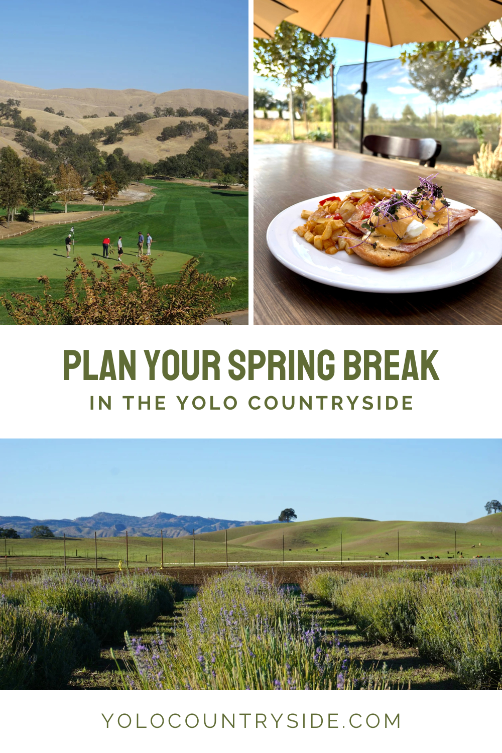 Plan Your Spring Break in Yolo Countryside