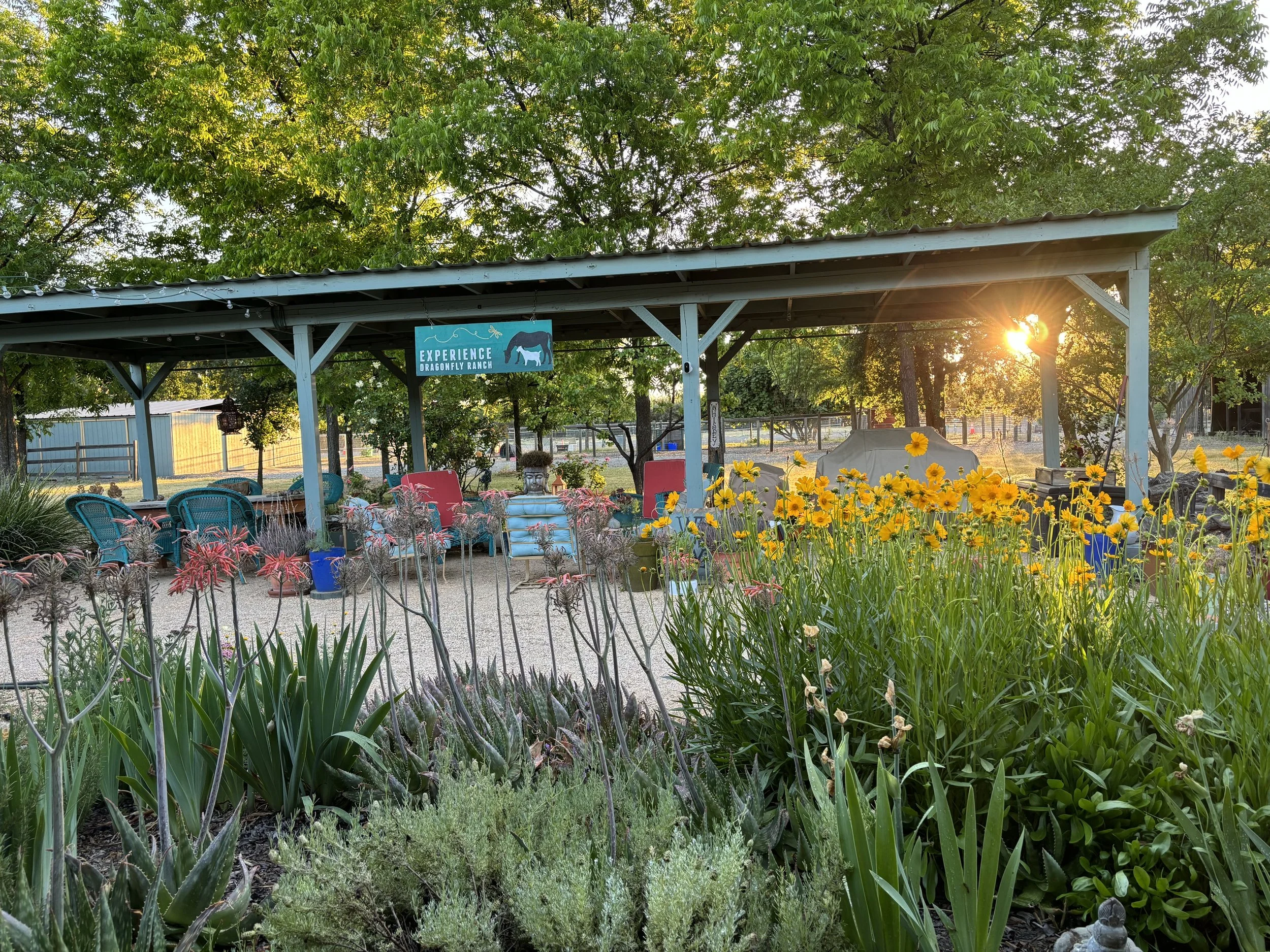 Rustic_Ramble_Dragonfly_Farm.jpeg