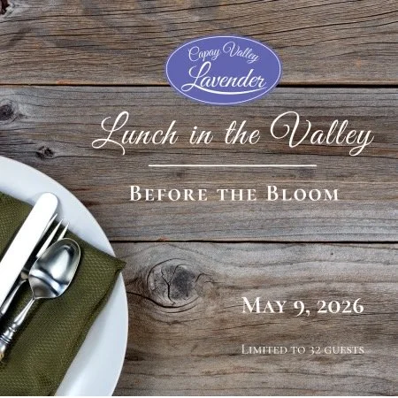 Lunch in the valley - before the bloom 