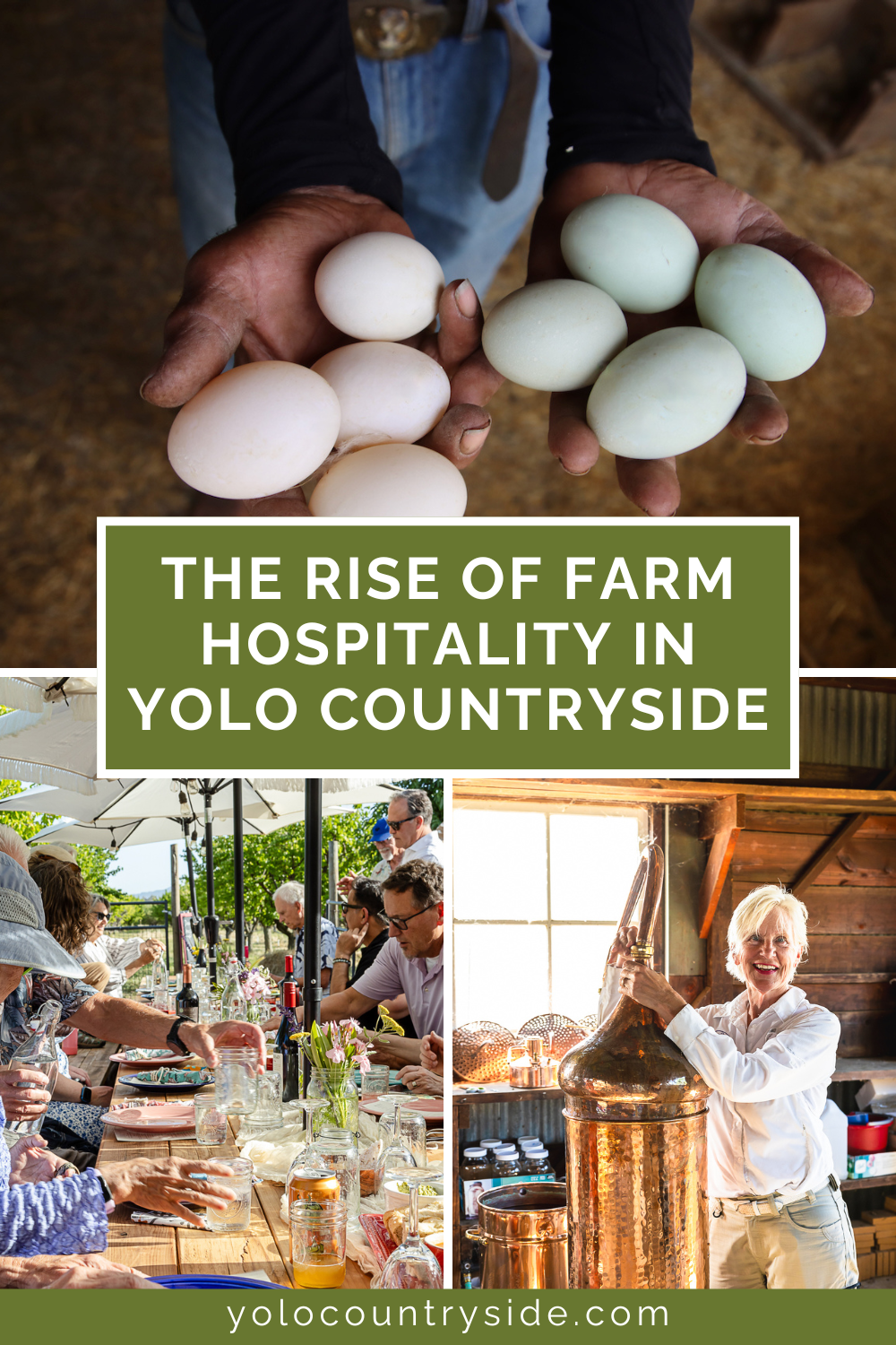 The Rise of Farm Hospitality in Yolo Countryside