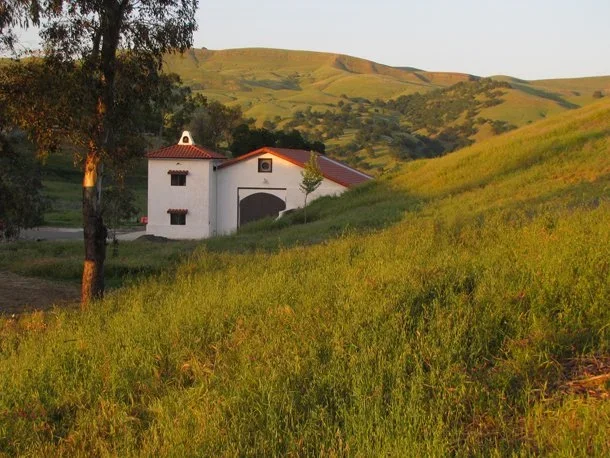 capay_valley_winery.webp
