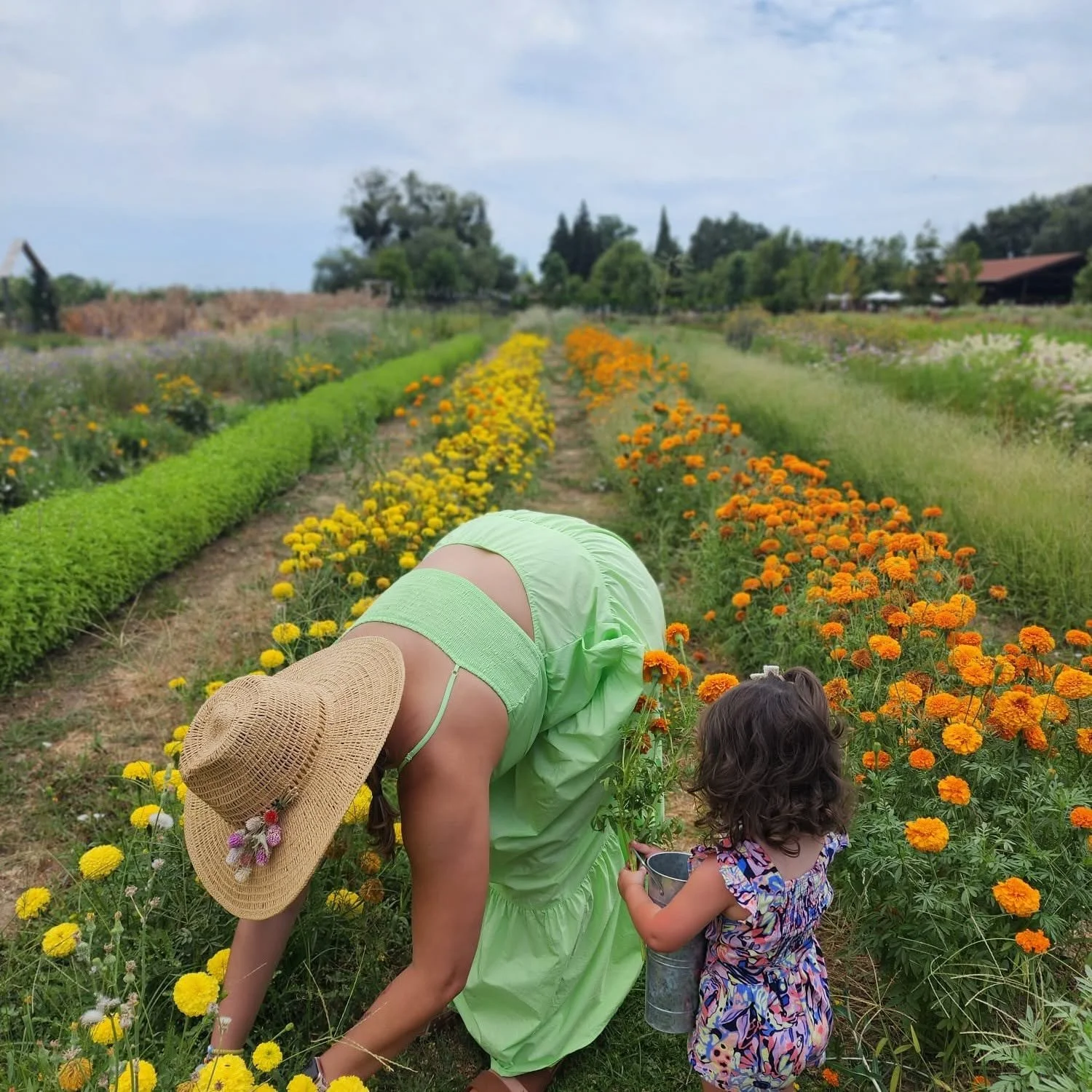 Pick Flowers Kids.jpg