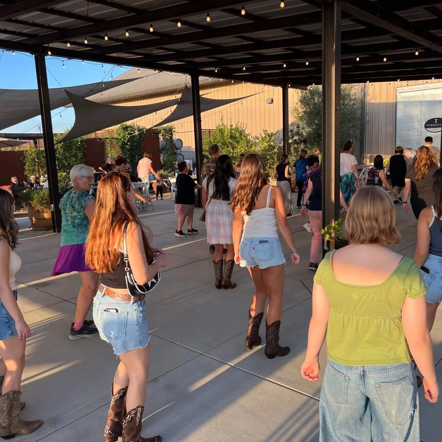 Line Dancing Turkovich.jpg