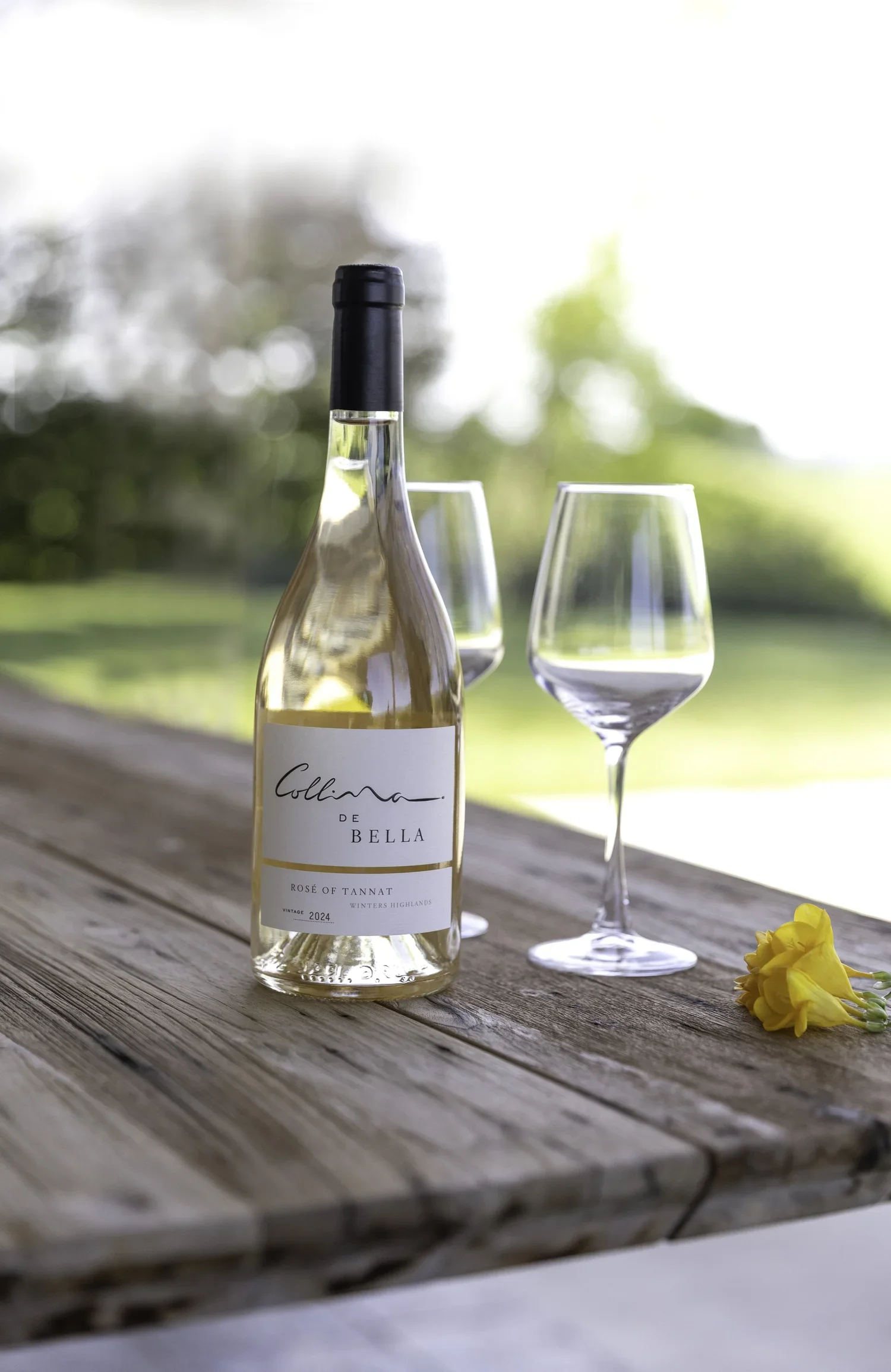 Rose+of+Tannat+2024.webp