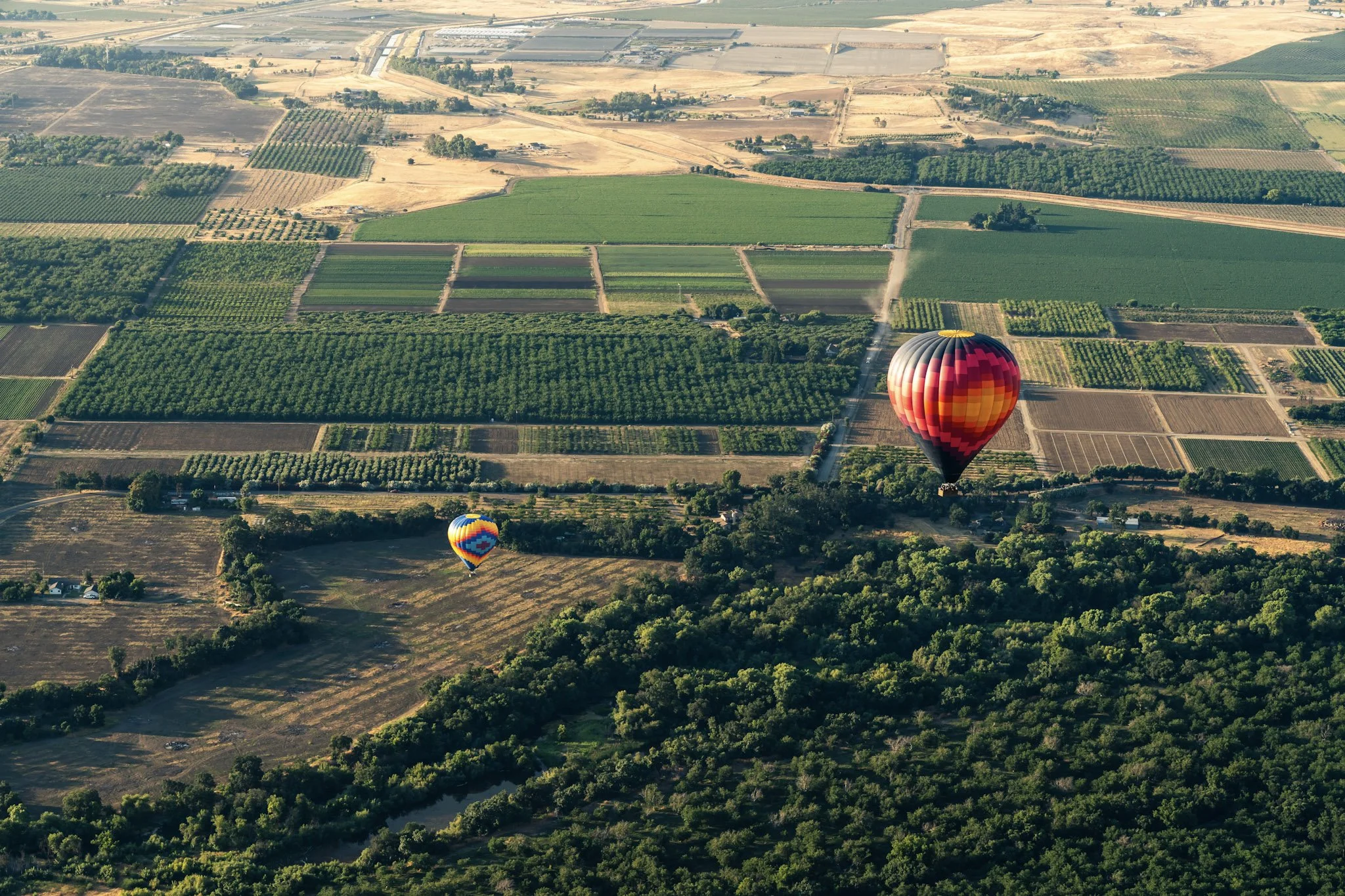 Yolo Countryside | Farms, Wineries & Things to Do in Yolo County
