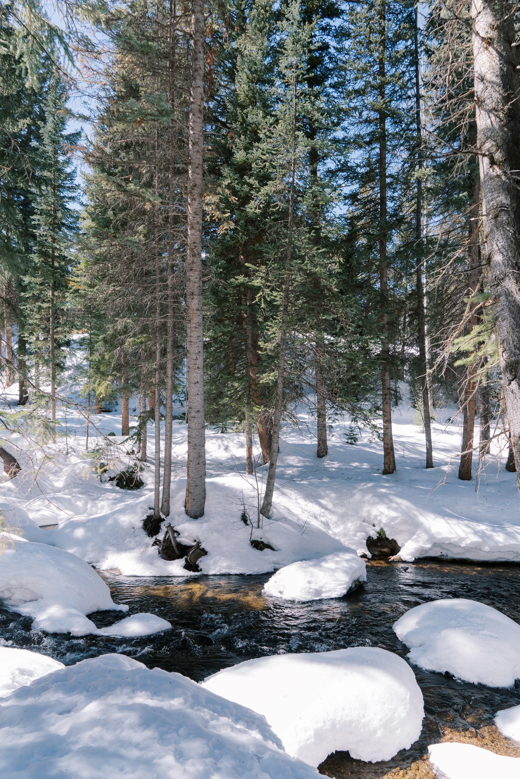 PineCreek-55-2.jpg