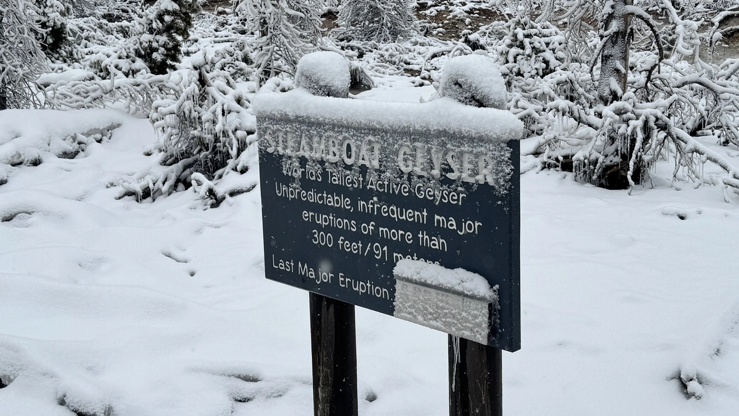 FullSizeRender 16.JPG